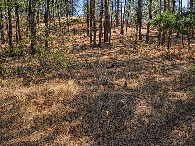 TBD Raven Ridge St - Photo 7