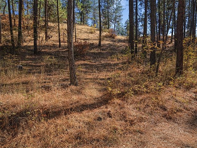 TBD Raven Ridge St - Photo 8