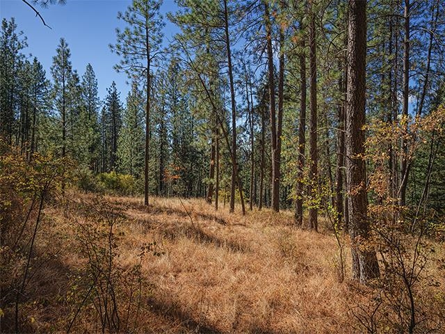 TBD Raven Ridge St - Photo 9