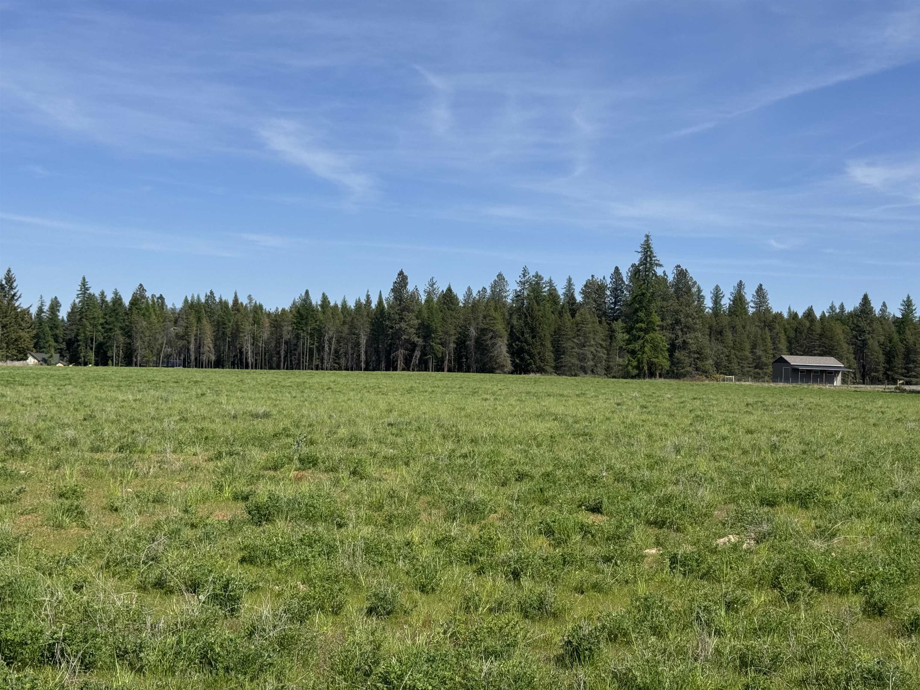 29210 N Spotted Rd - Photo 2