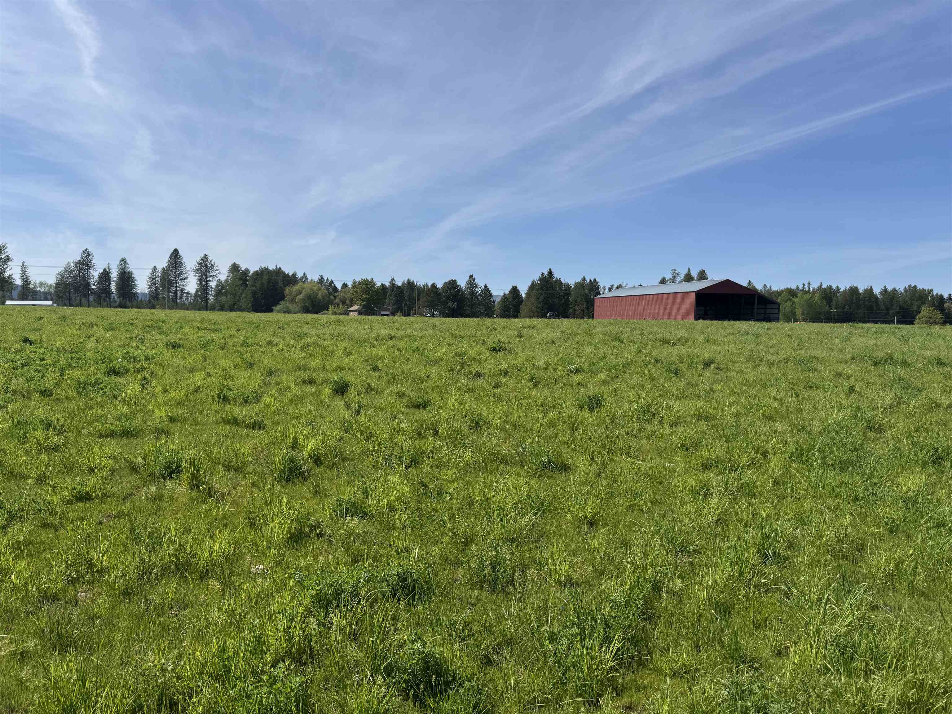 29210 N Spotted Rd - Photo 14