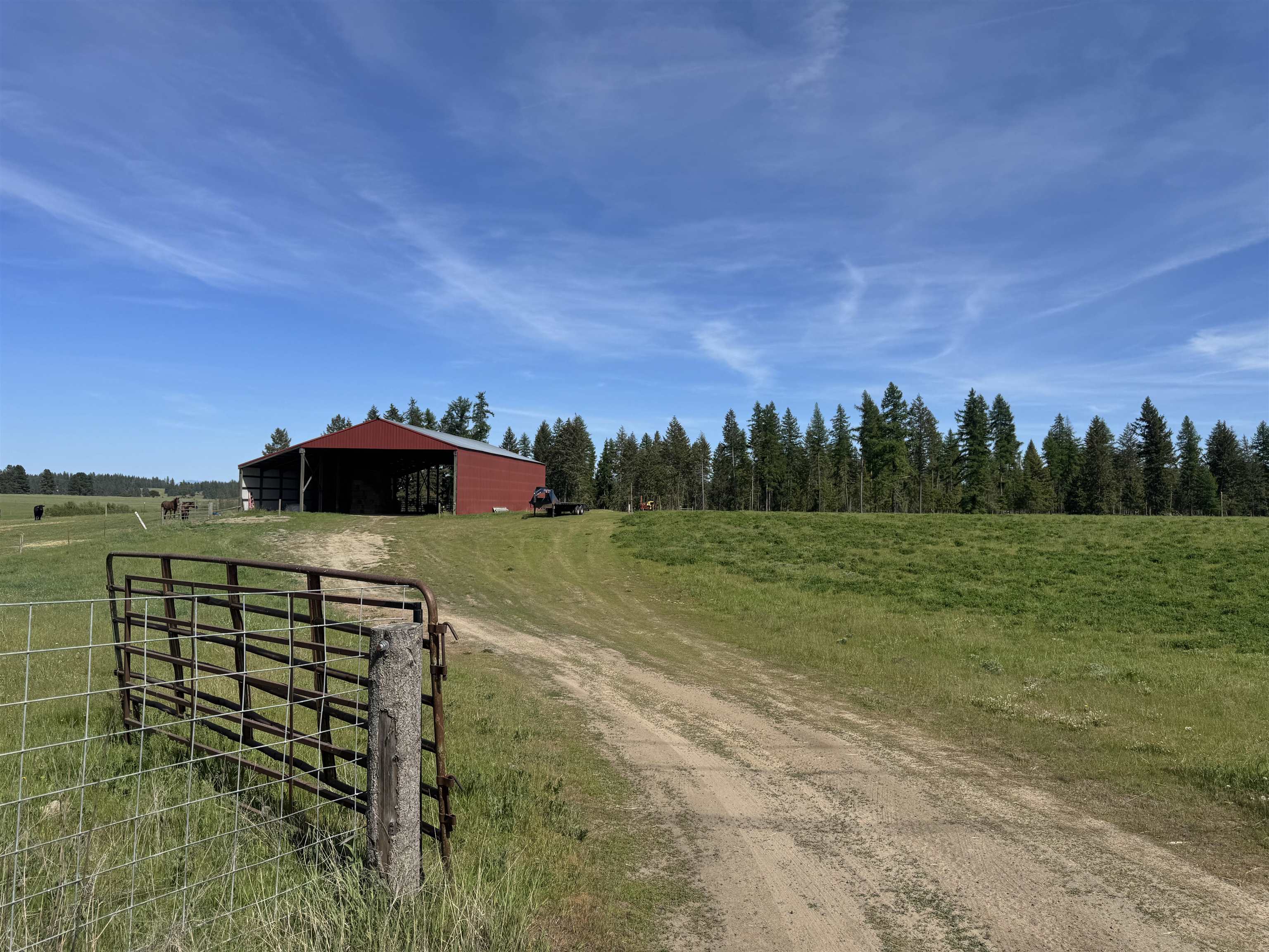 29210 N Spotted Rd - Photo 3