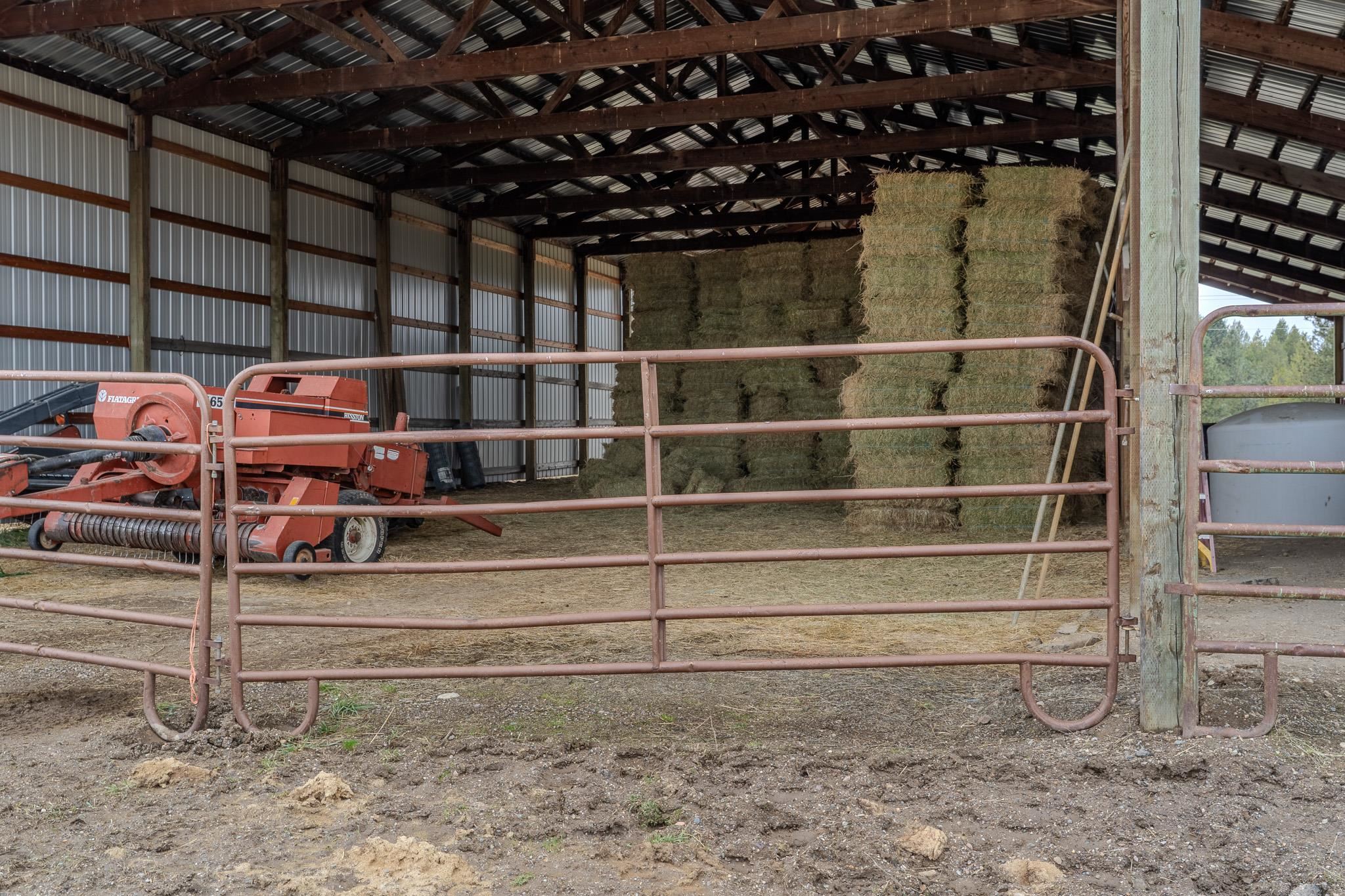 29210 N Spotted Rd - Photo 10