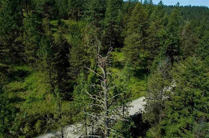 24269 E Liberty Creek Rd - Photo 22
