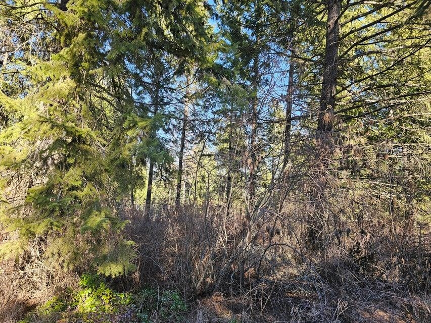 3378 H Hill Loop Rd - Photo 2