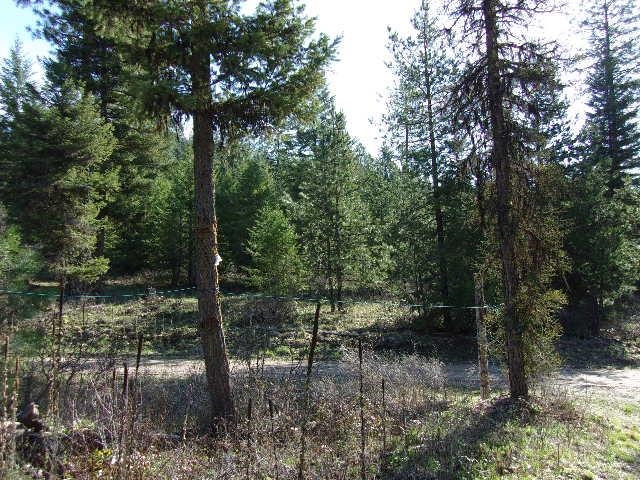 3445 Glasser Hill Rd - Photo 18