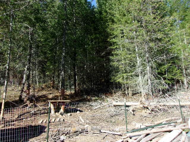 3445 Glasser Hill Rd - Photo 7