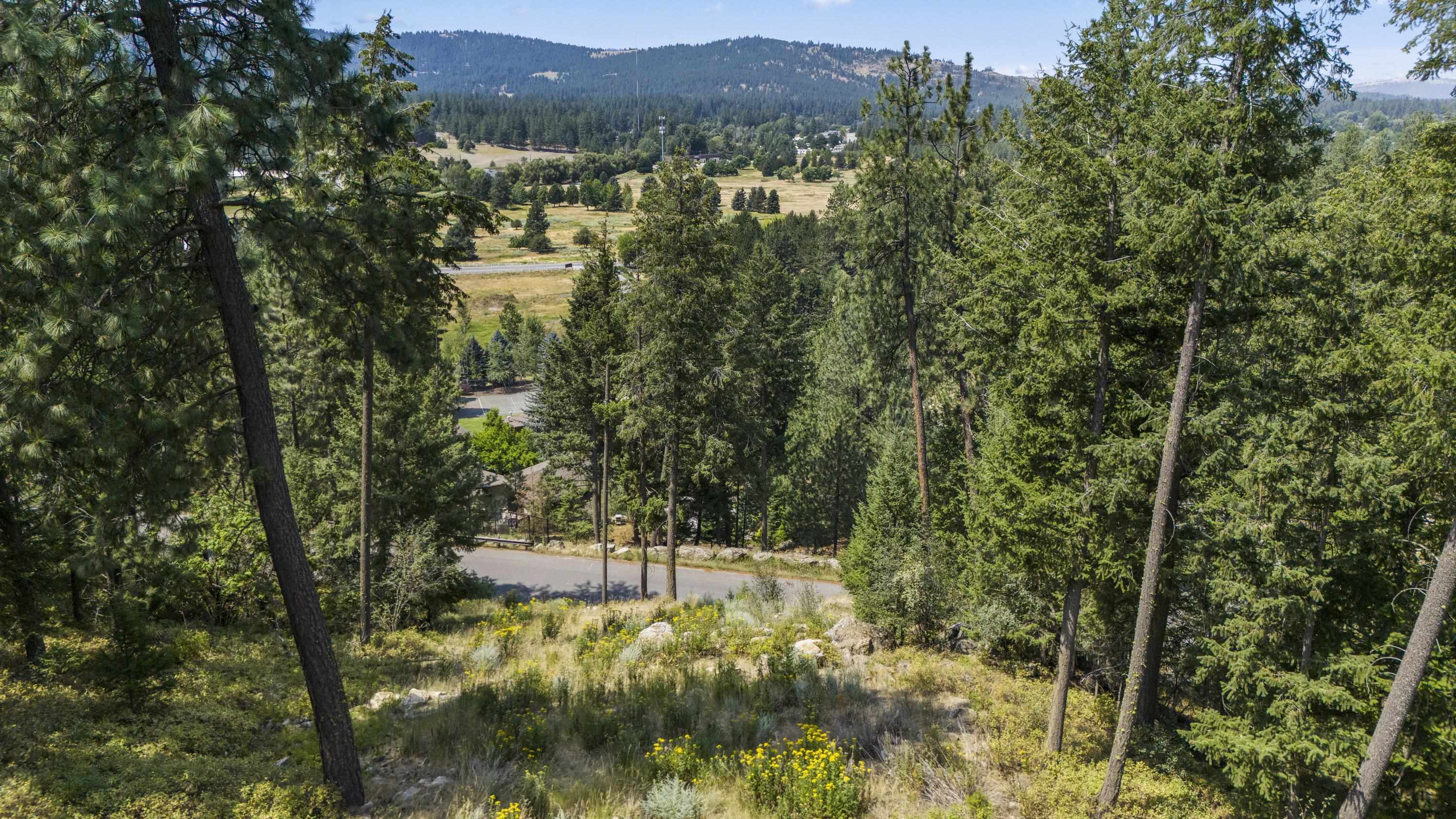12539 E Chester Ridge Ln - Photo 7