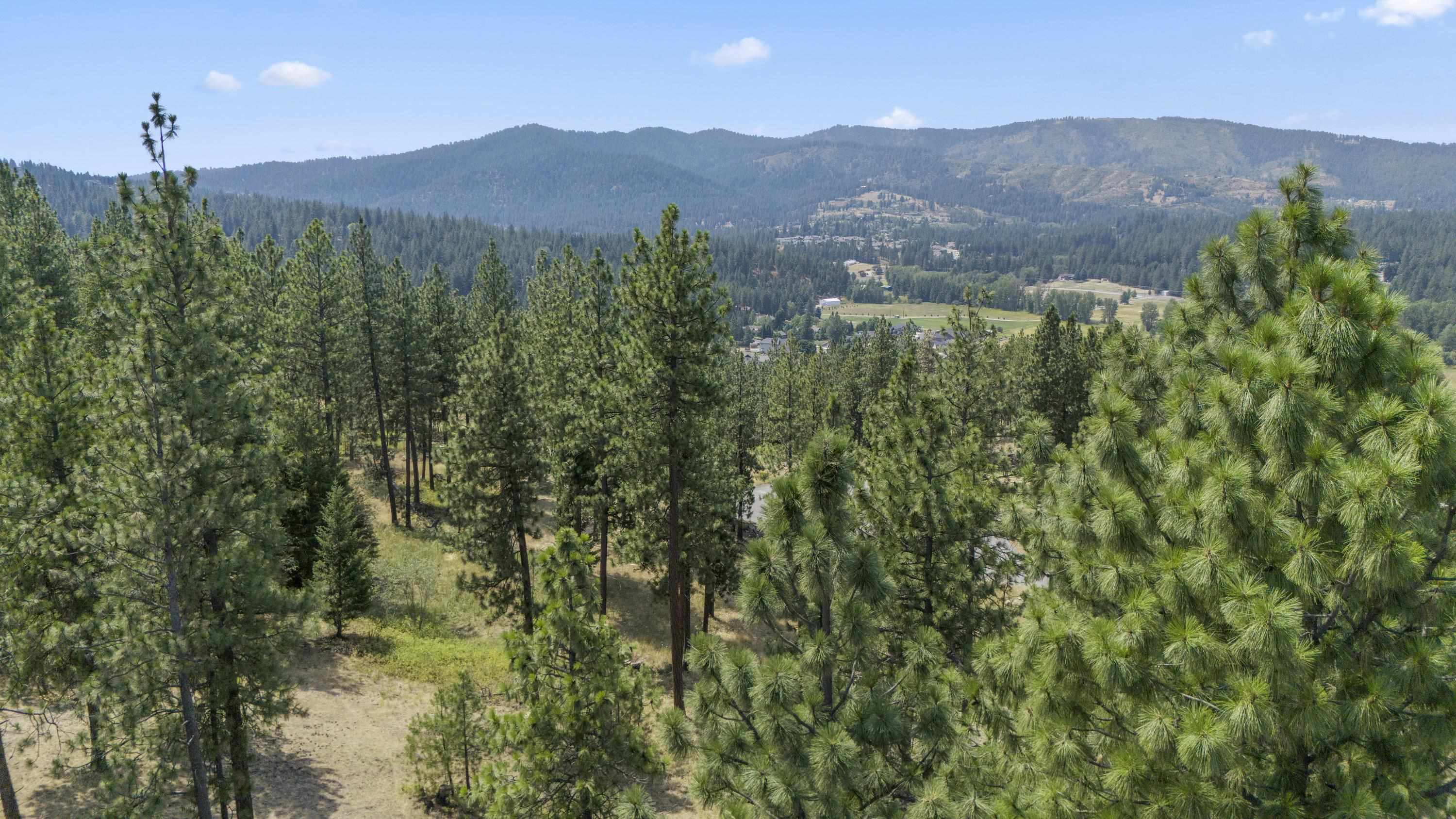 12542 E Chester Ridge Ln - Photo 19