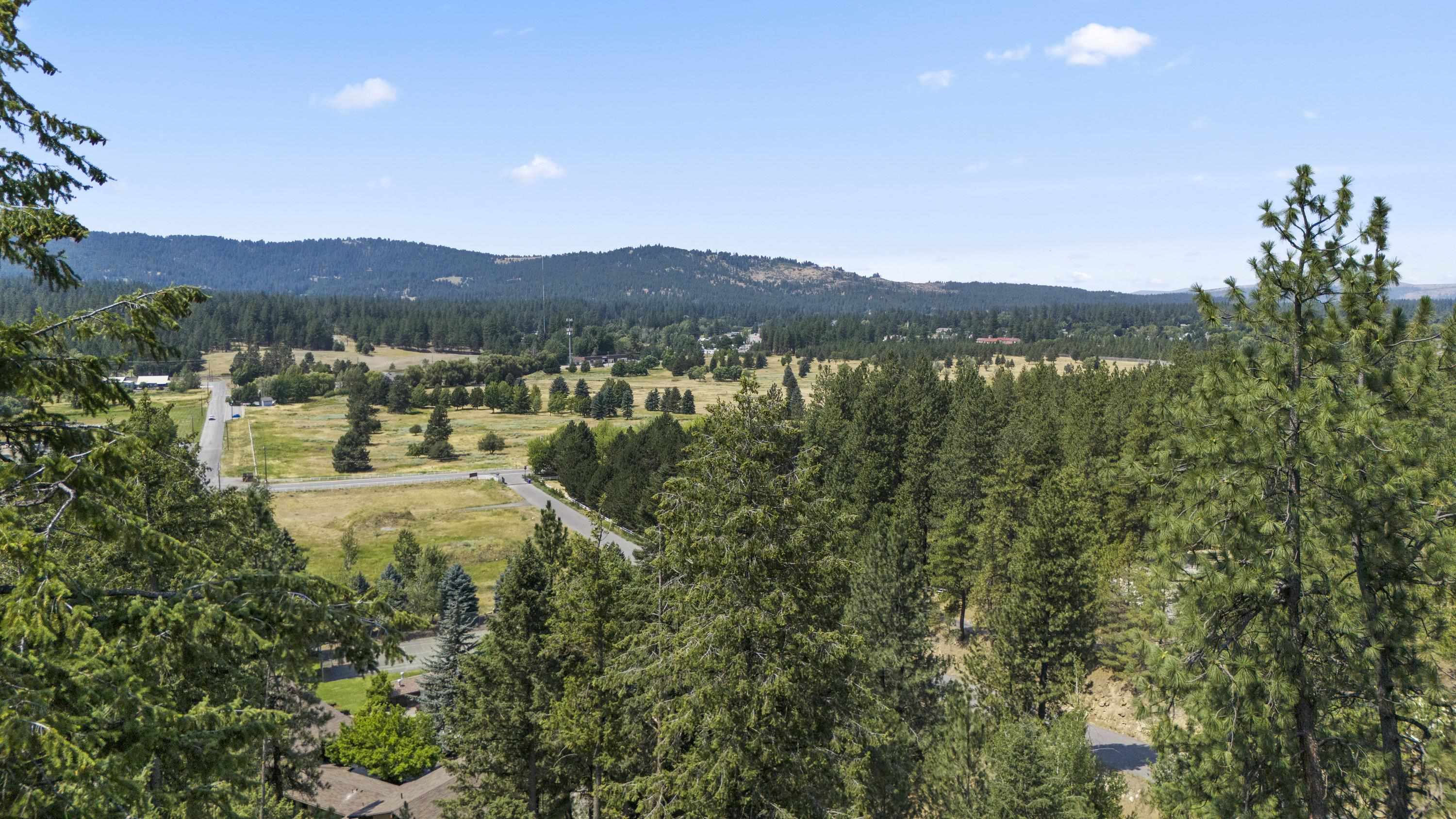 12542 E Chester Ridge Ln - Photo 8