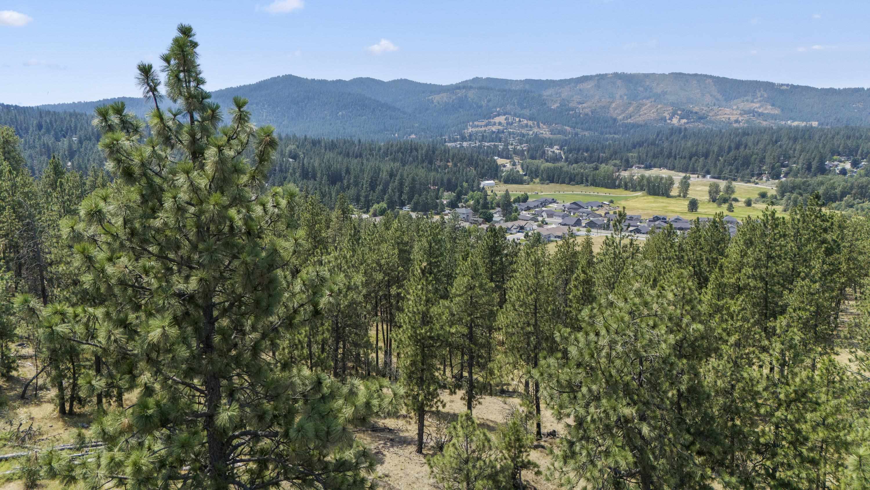 13007 E Chester Ridge Ln - Photo 12