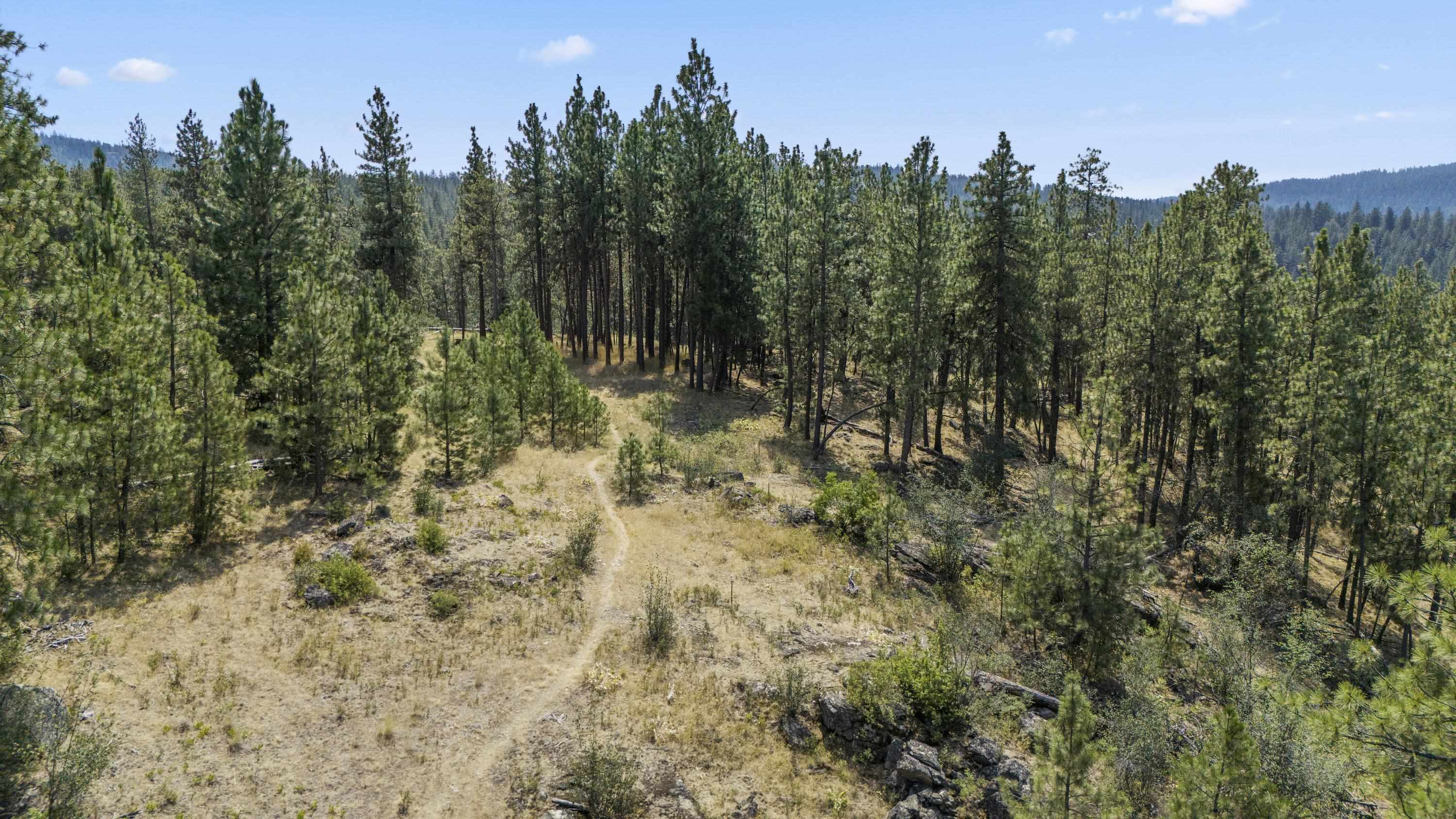 13007 E Chester Ridge Ln - Photo 17