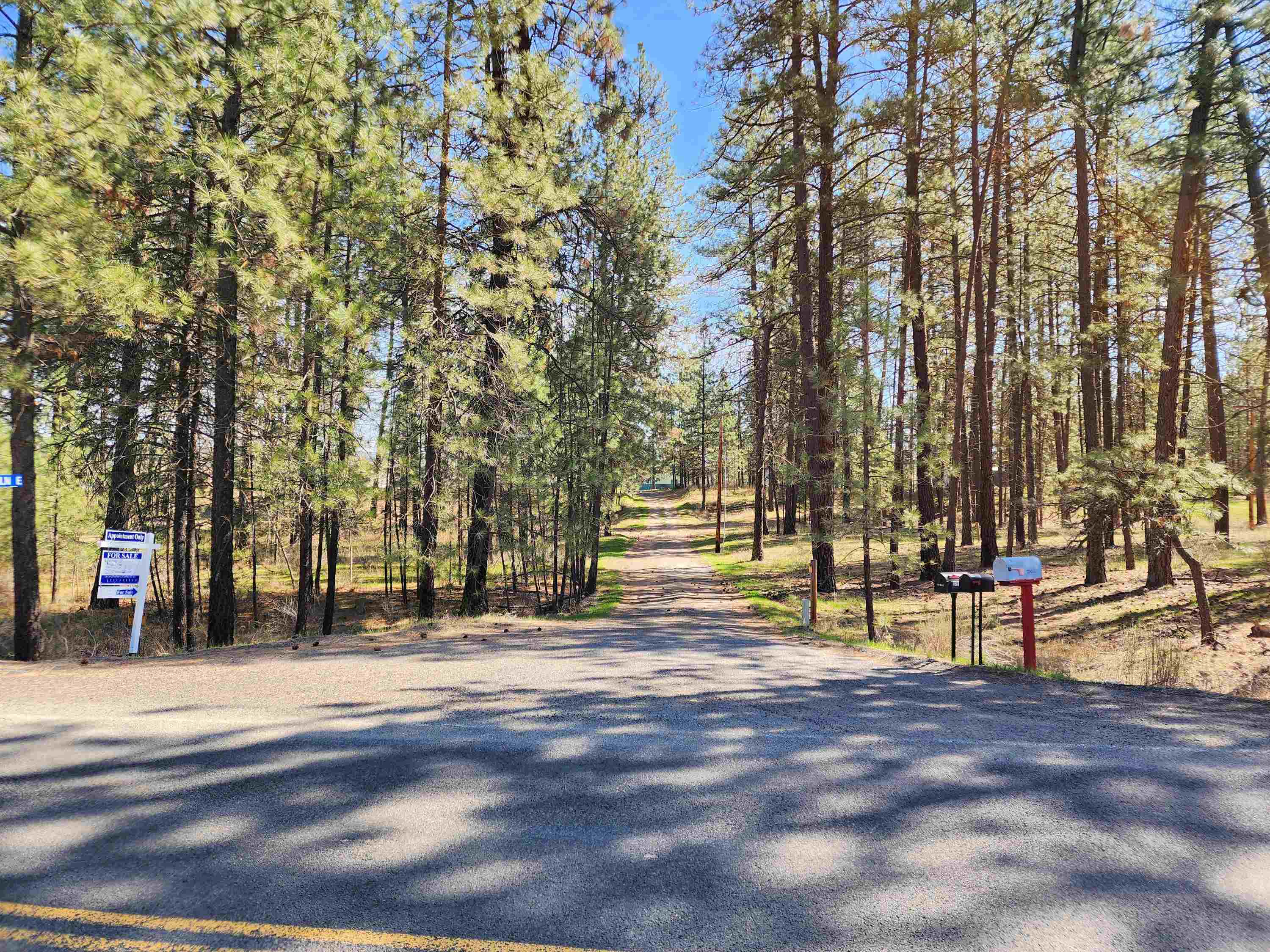 39024 E Petrie Ln - Photo 2