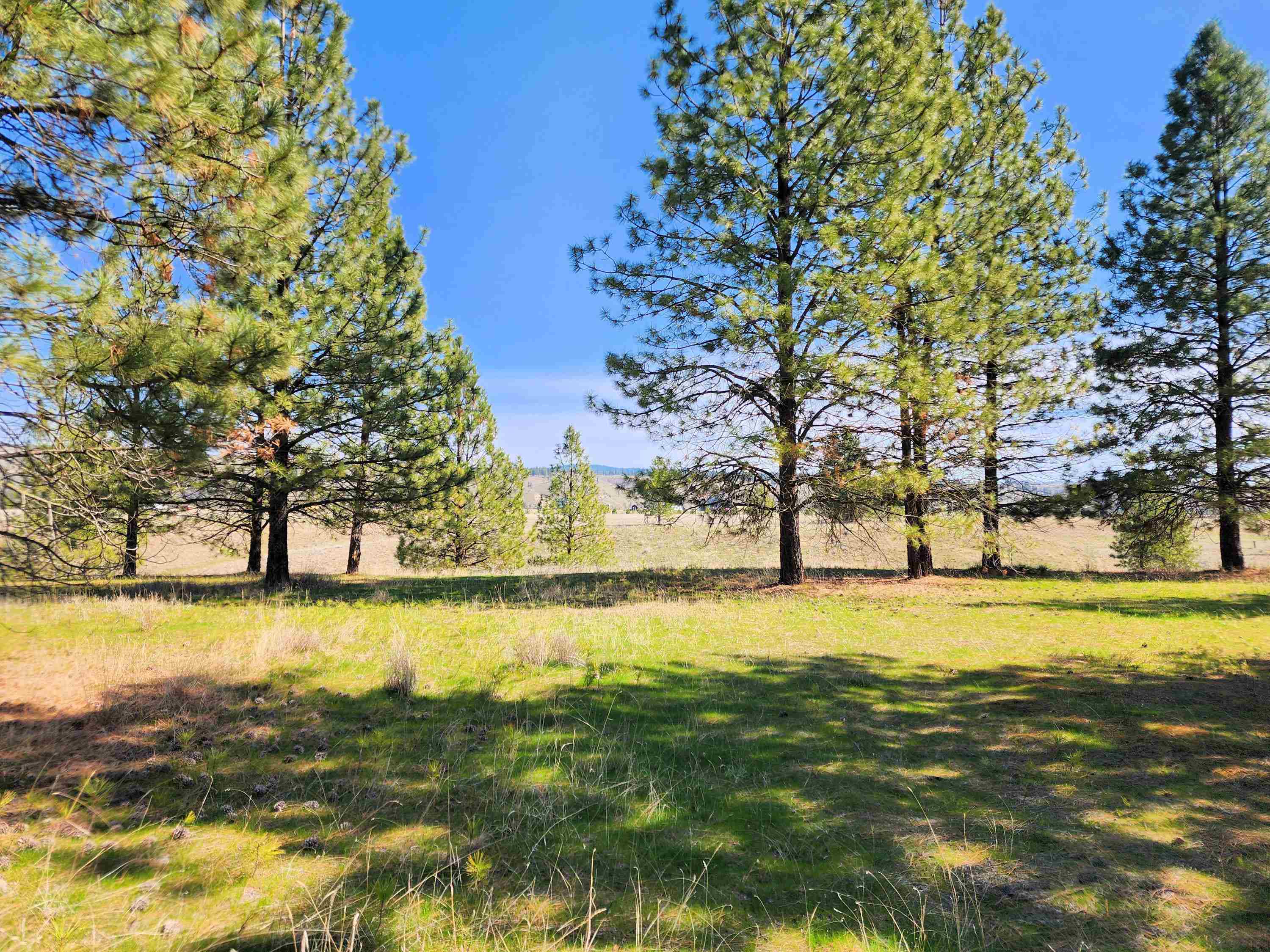 39024 E Petrie Ln - Photo 28