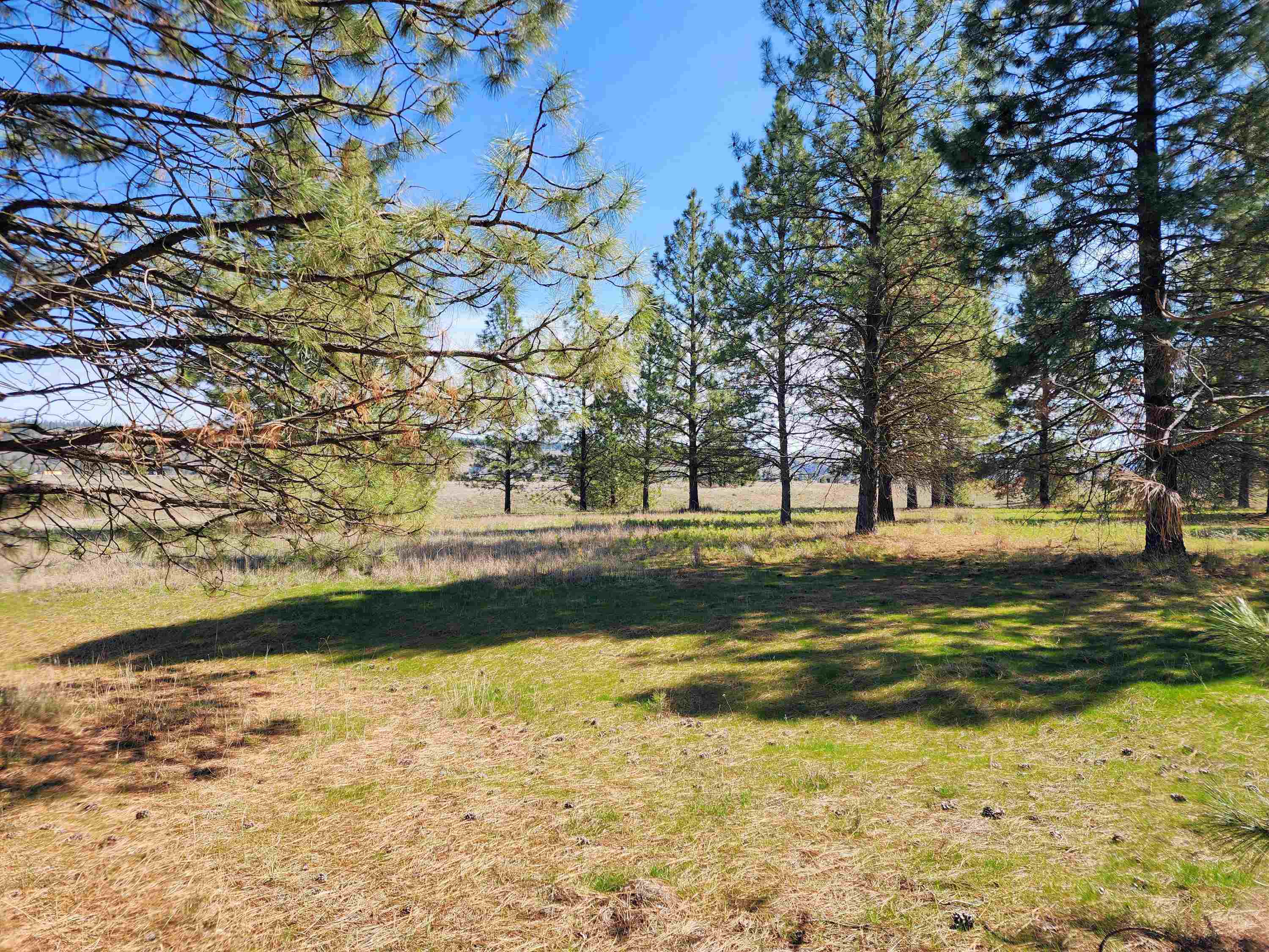 39024 E Petrie Ln - Photo 29