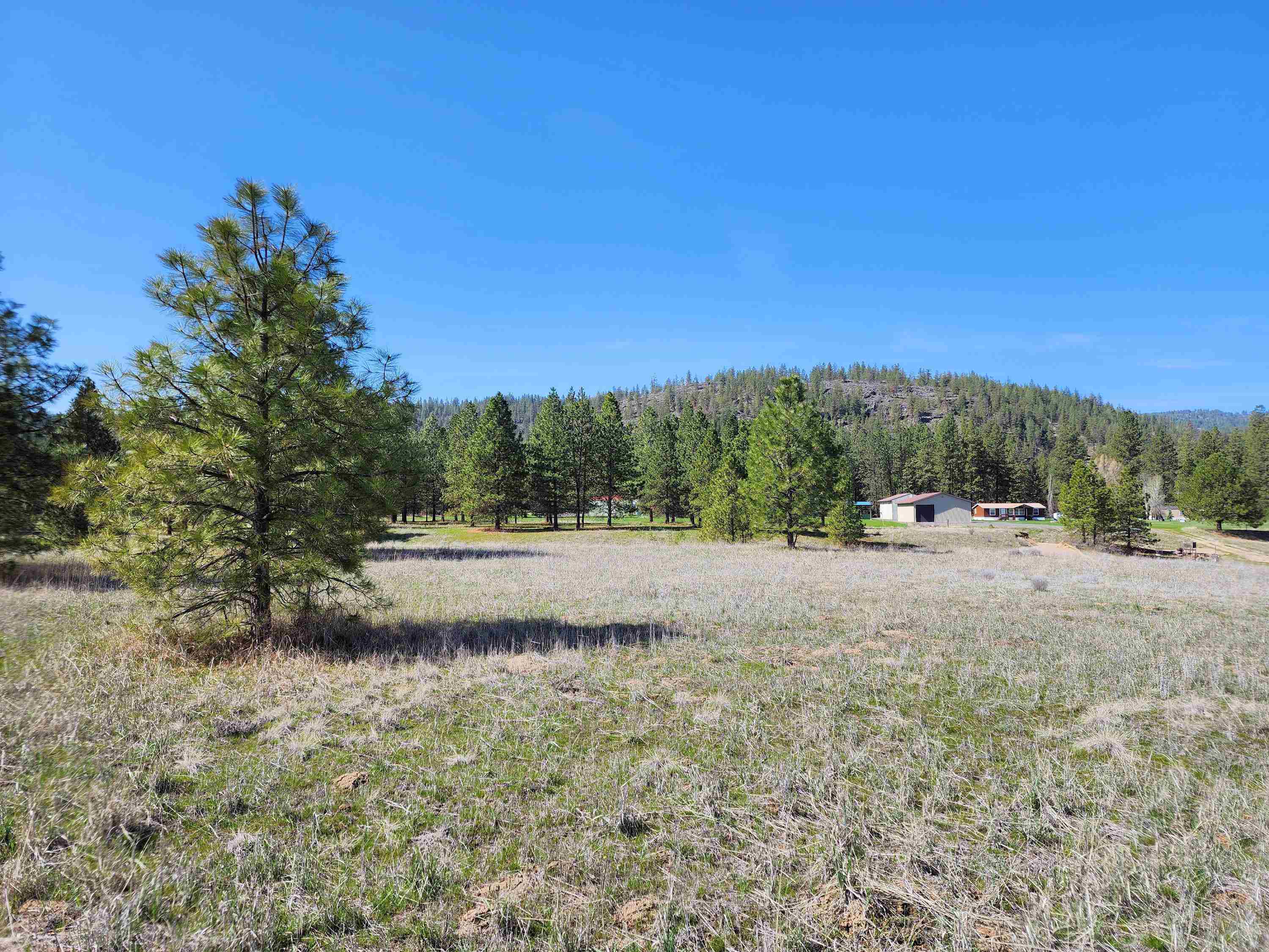 39024 E Petrie Ln - Photo 31