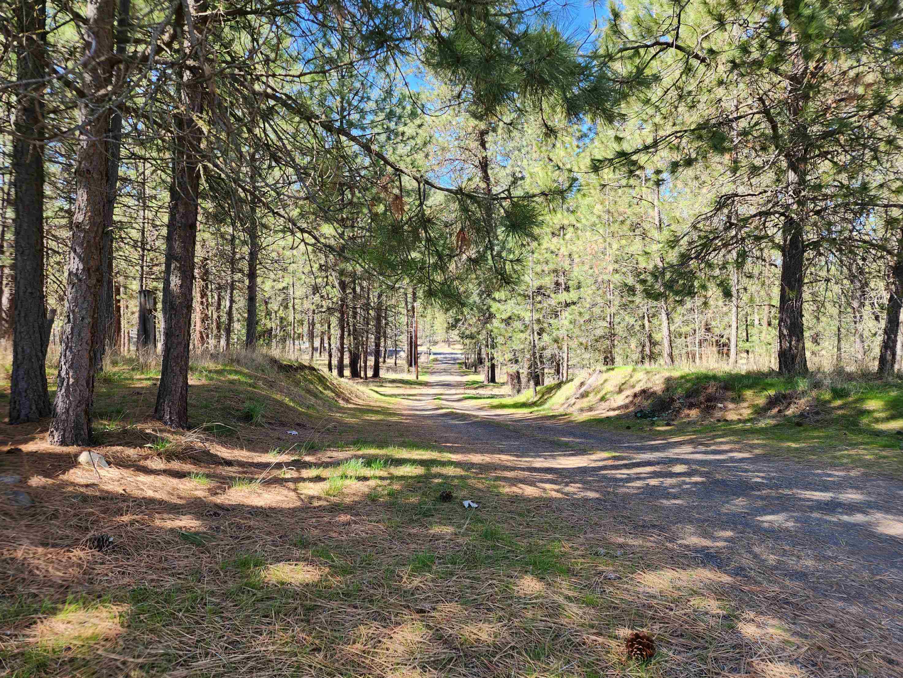 39024 E Petrie Ln - Photo 32
