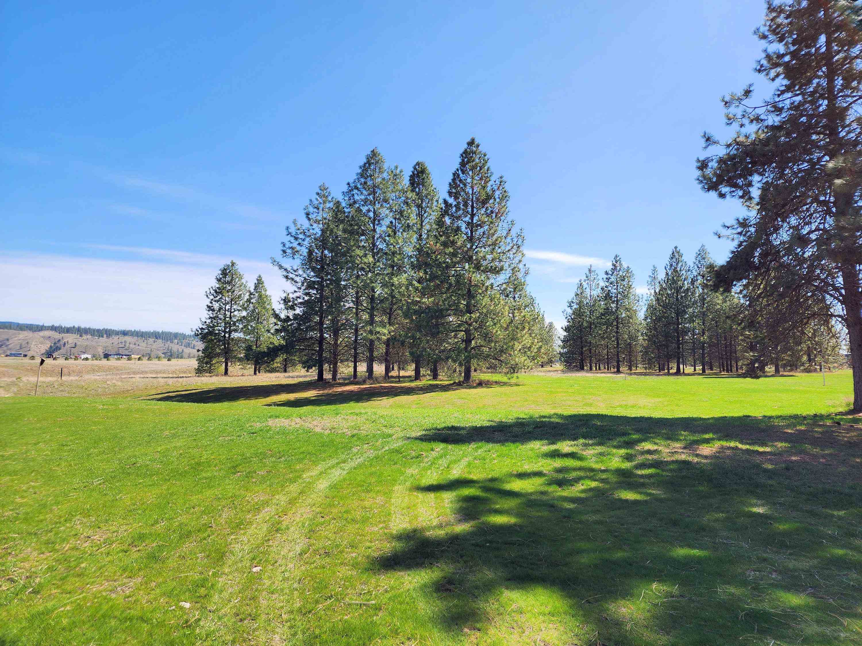39024 E Petrie Ln - Photo 5