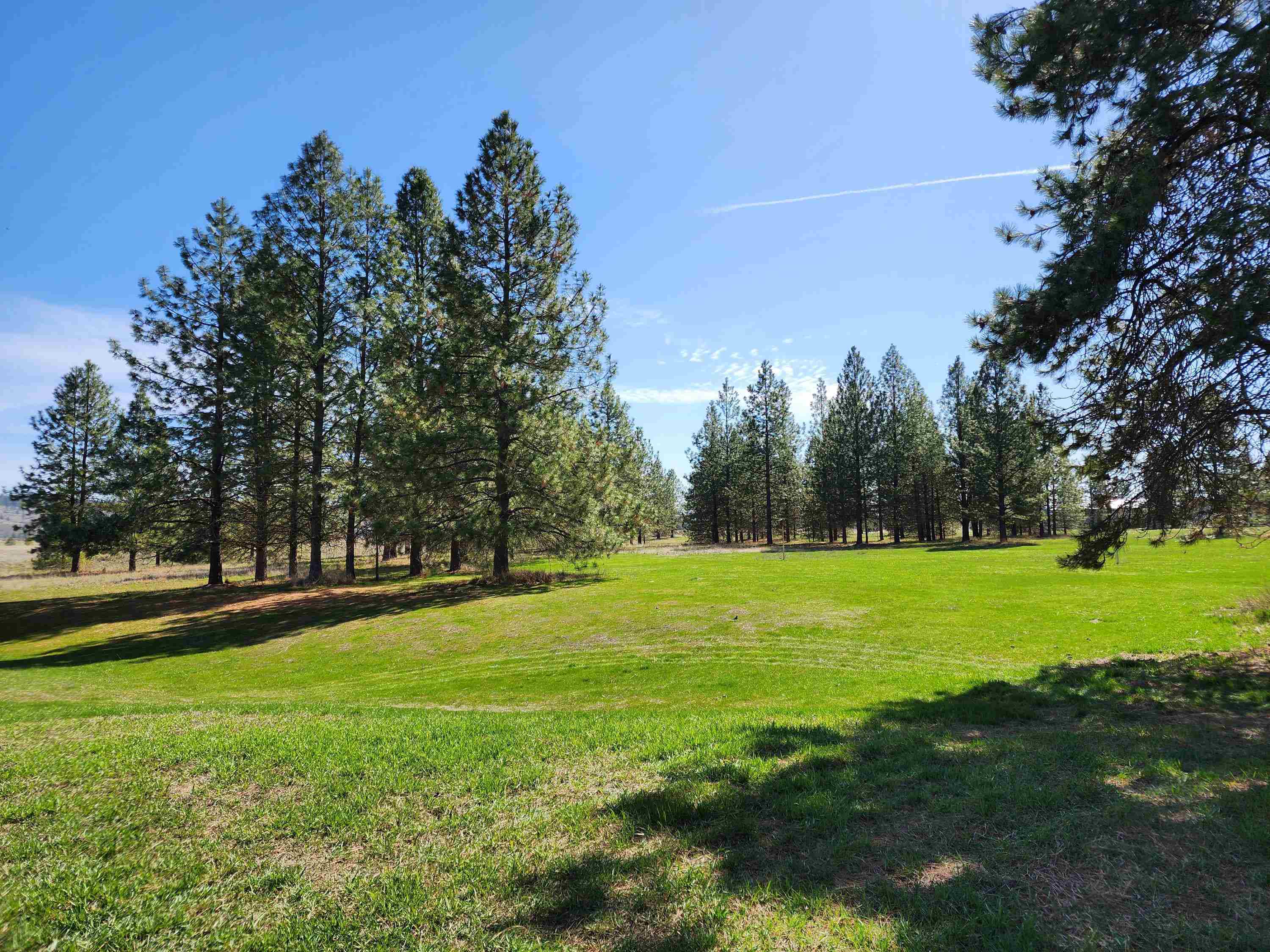 39024 E Petrie Ln - Photo 6