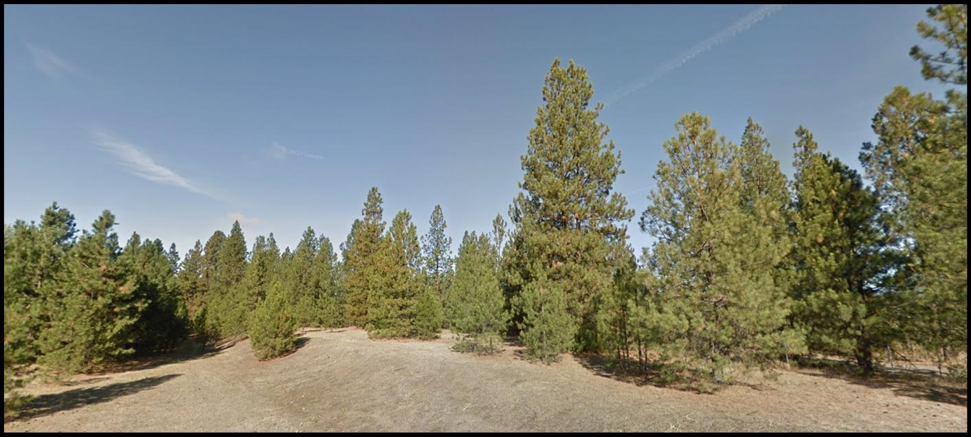 26XXX E Appleway Ave - Photo 3