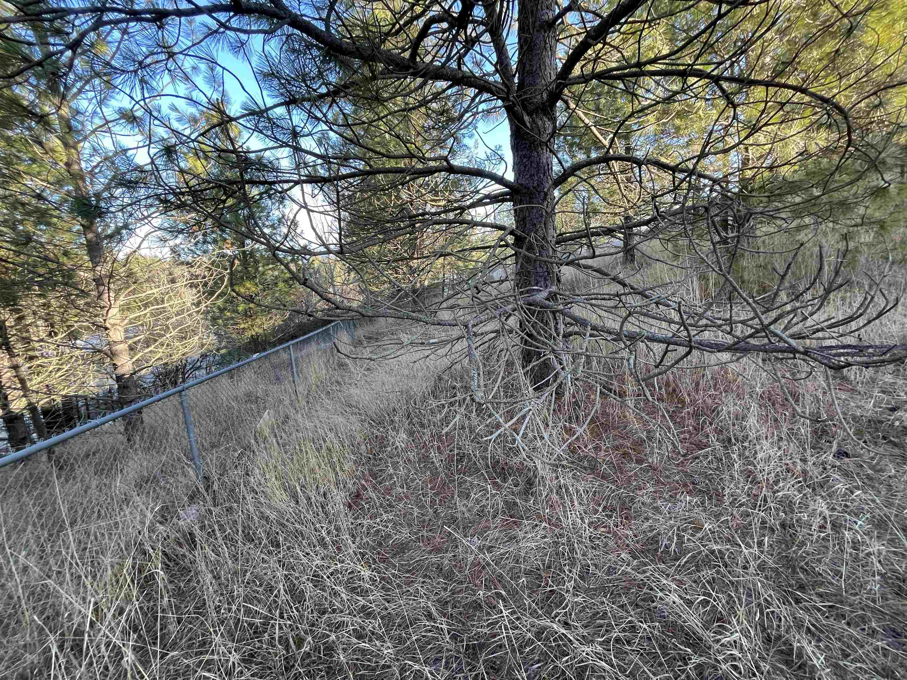 218 N Cliff Ct - Photo 6