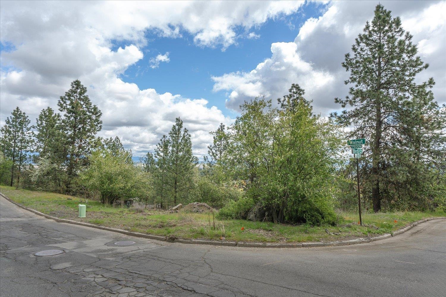 7516 N Walnut St - Photo 22