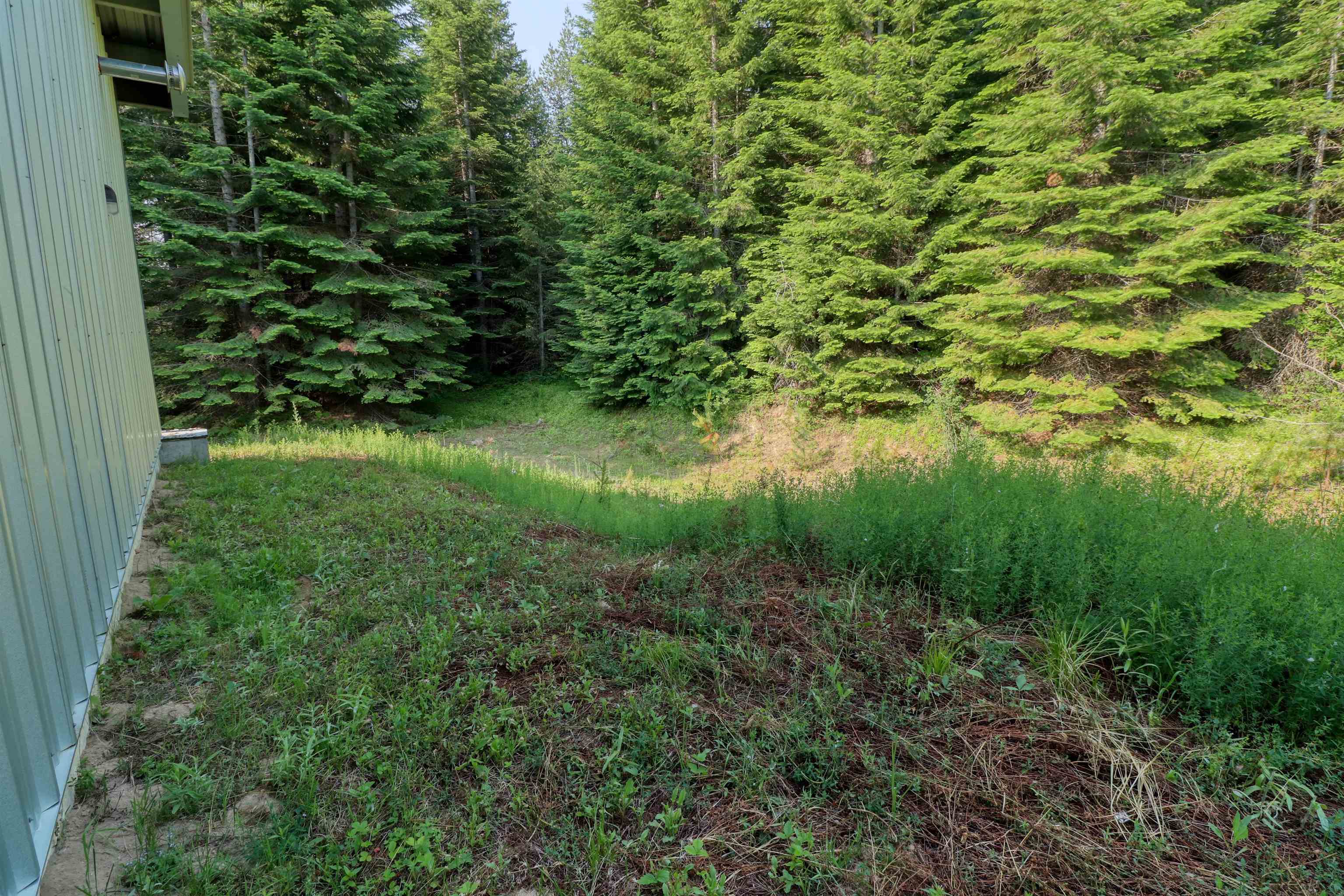 583 Fertile Valley Rd - Photo 13