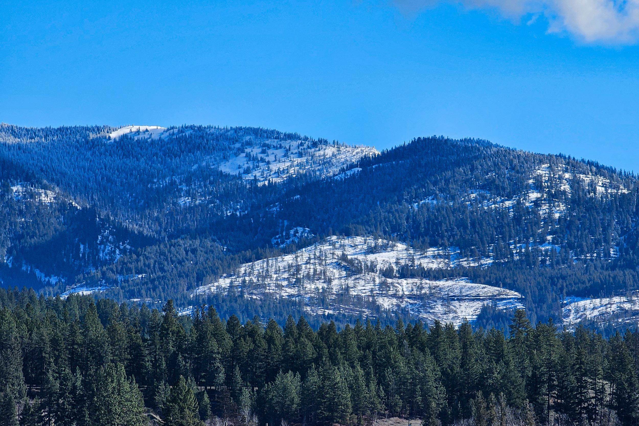 2037 Ringneck Loop - Photo 11