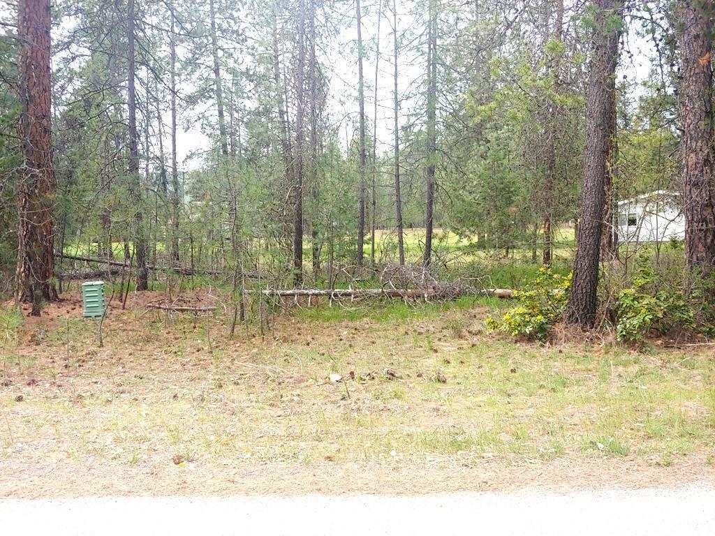 183 E Trappers Loop - Photo 11