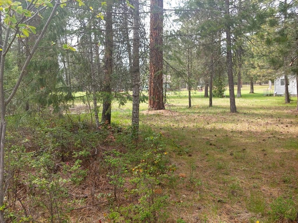 183 E Trappers Loop - Photo 5
