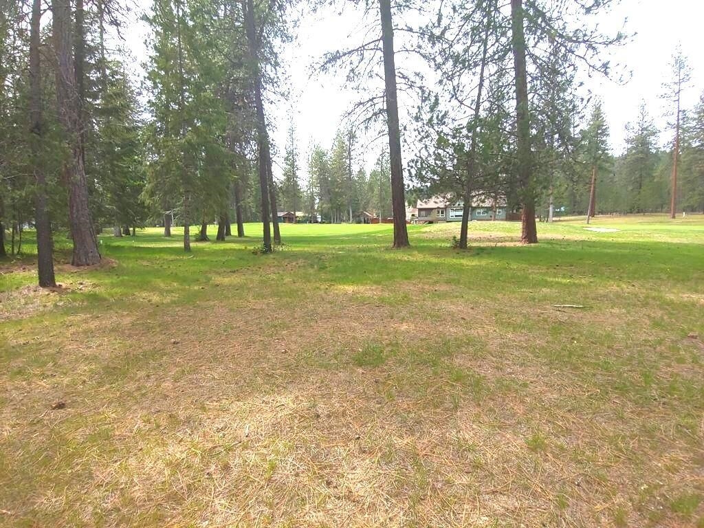 183 E Trappers Loop - Photo 6