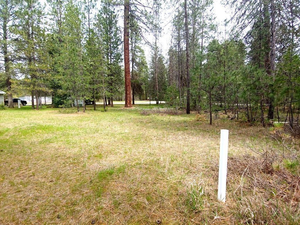 183 E Trappers Loop - Photo 10