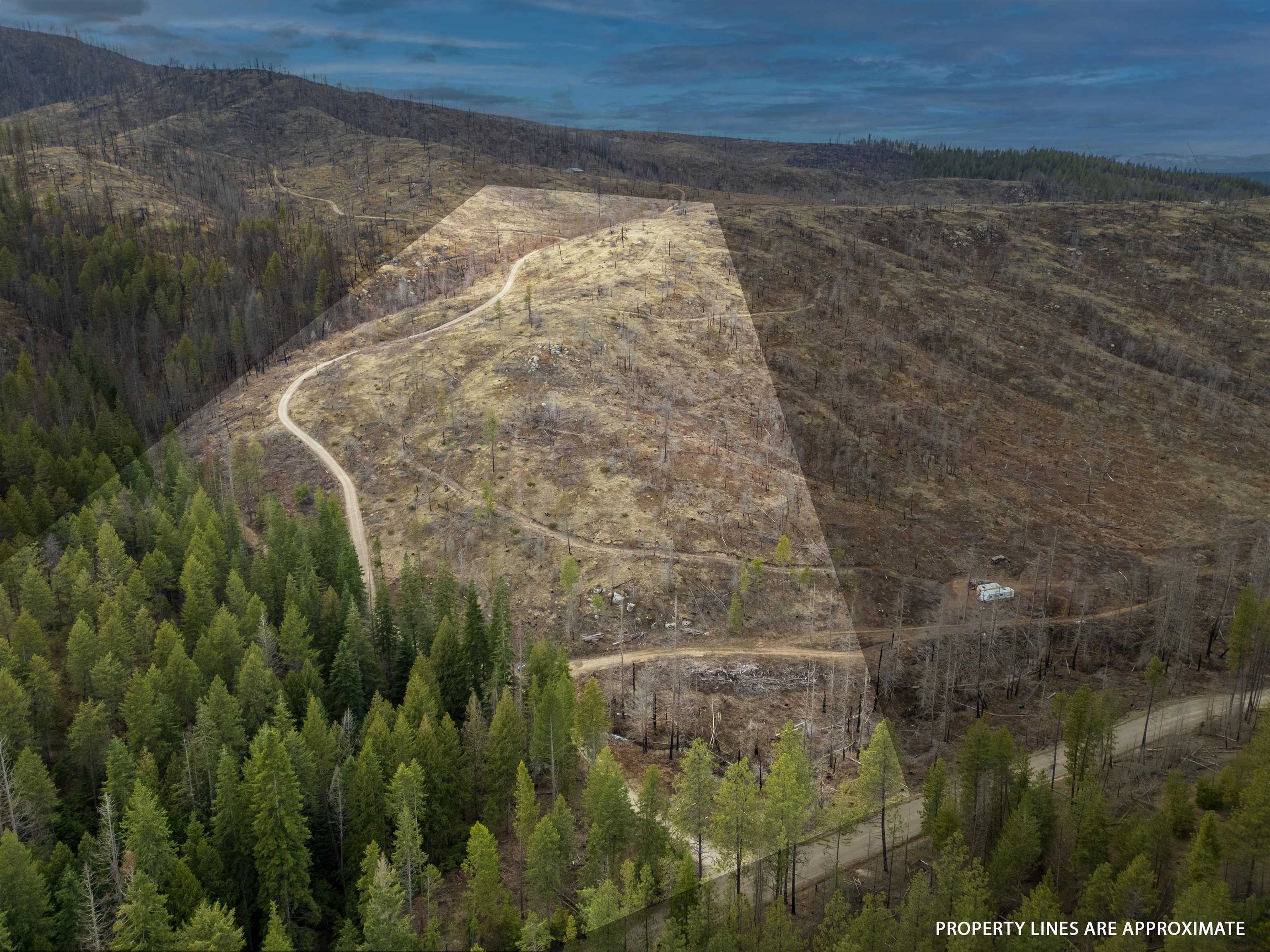 Lot 7 Rail Canyon Rd - Photo 1