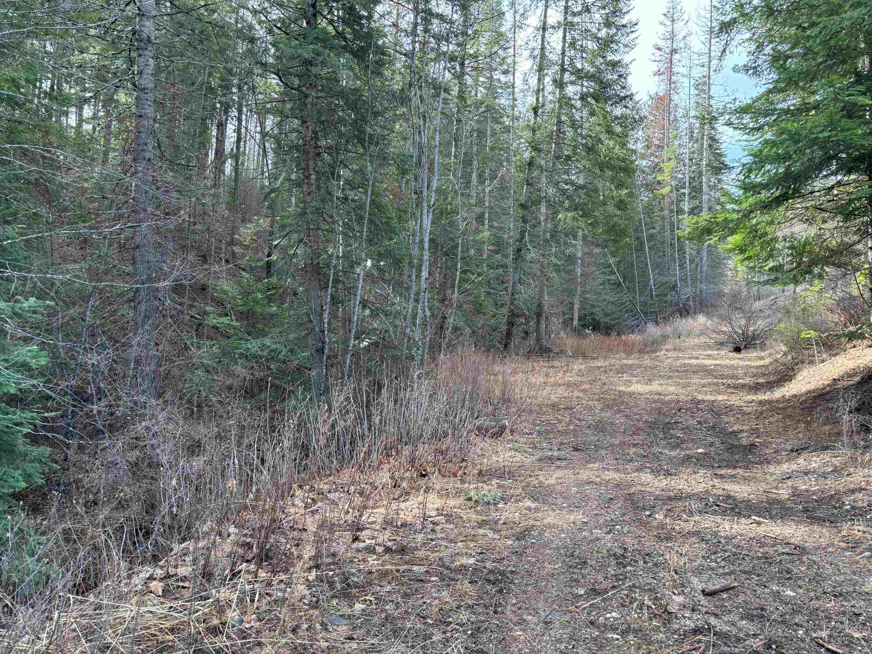 Lot 7 Rail Canyon Rd - Photo 11