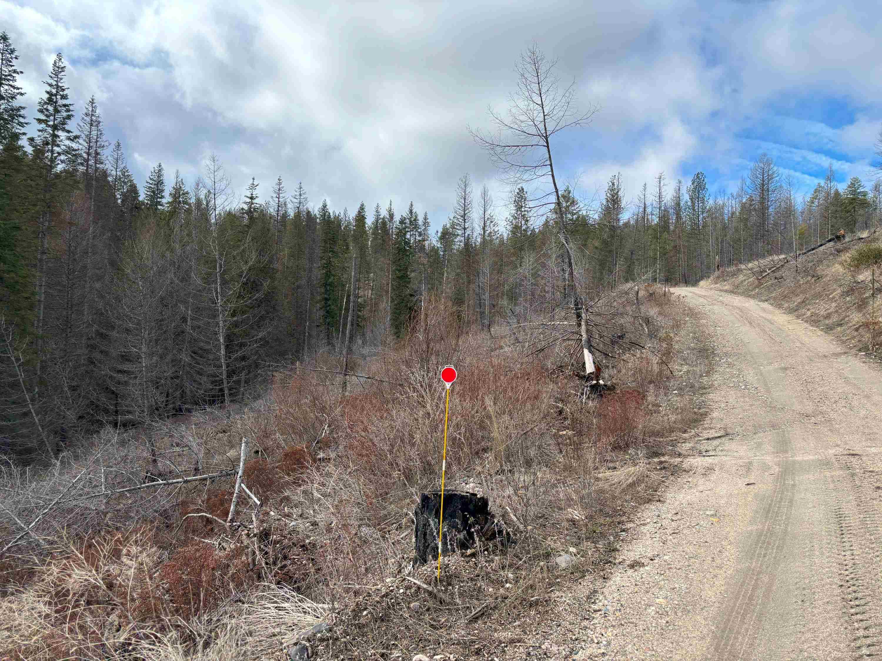 Lot 7 Rail Canyon Rd - Photo 12