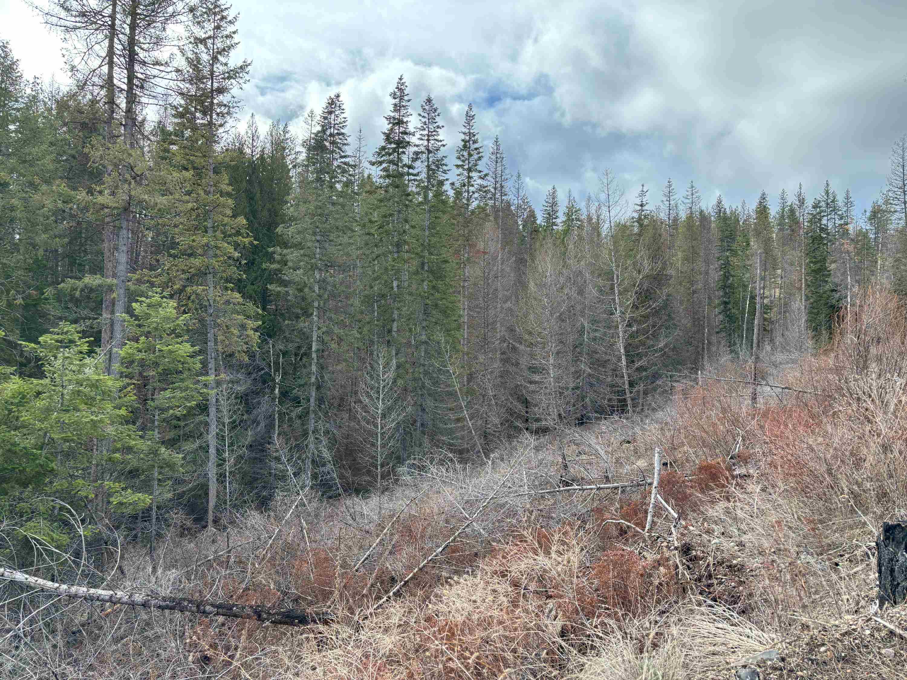 Lot 7 Rail Canyon Rd - Photo 13