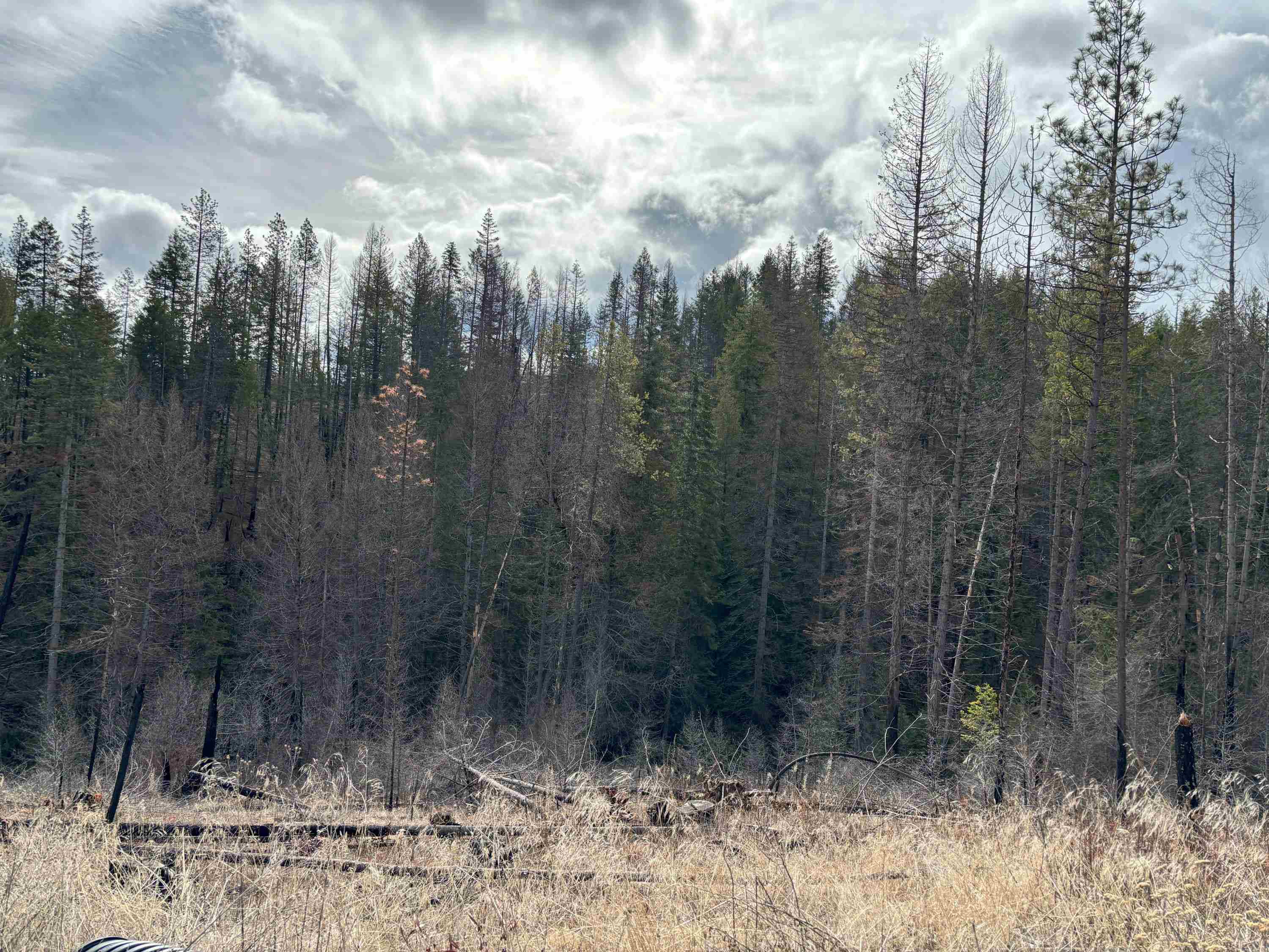 Lot 7 Rail Canyon Rd - Photo 14