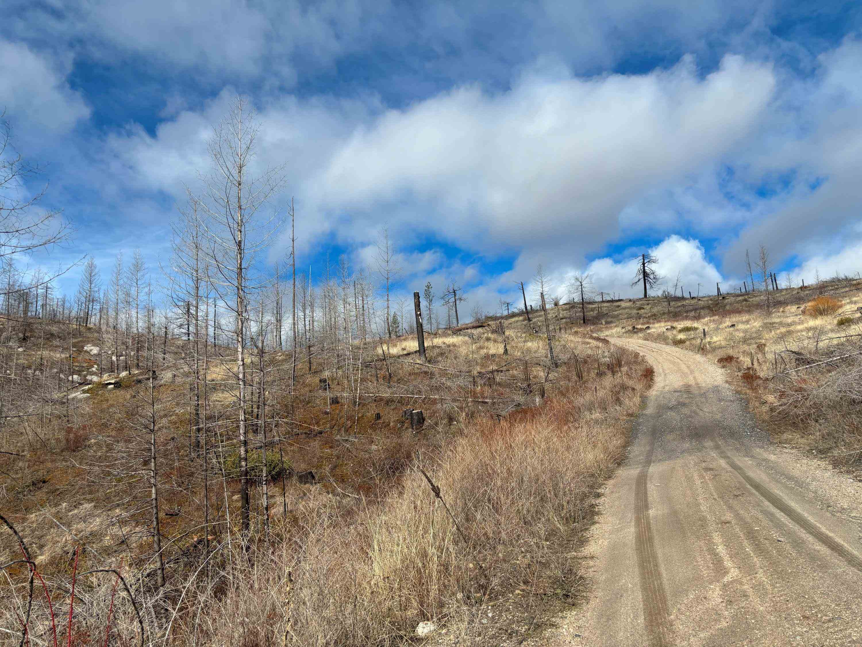 Lot 7 Rail Canyon Rd - Photo 15