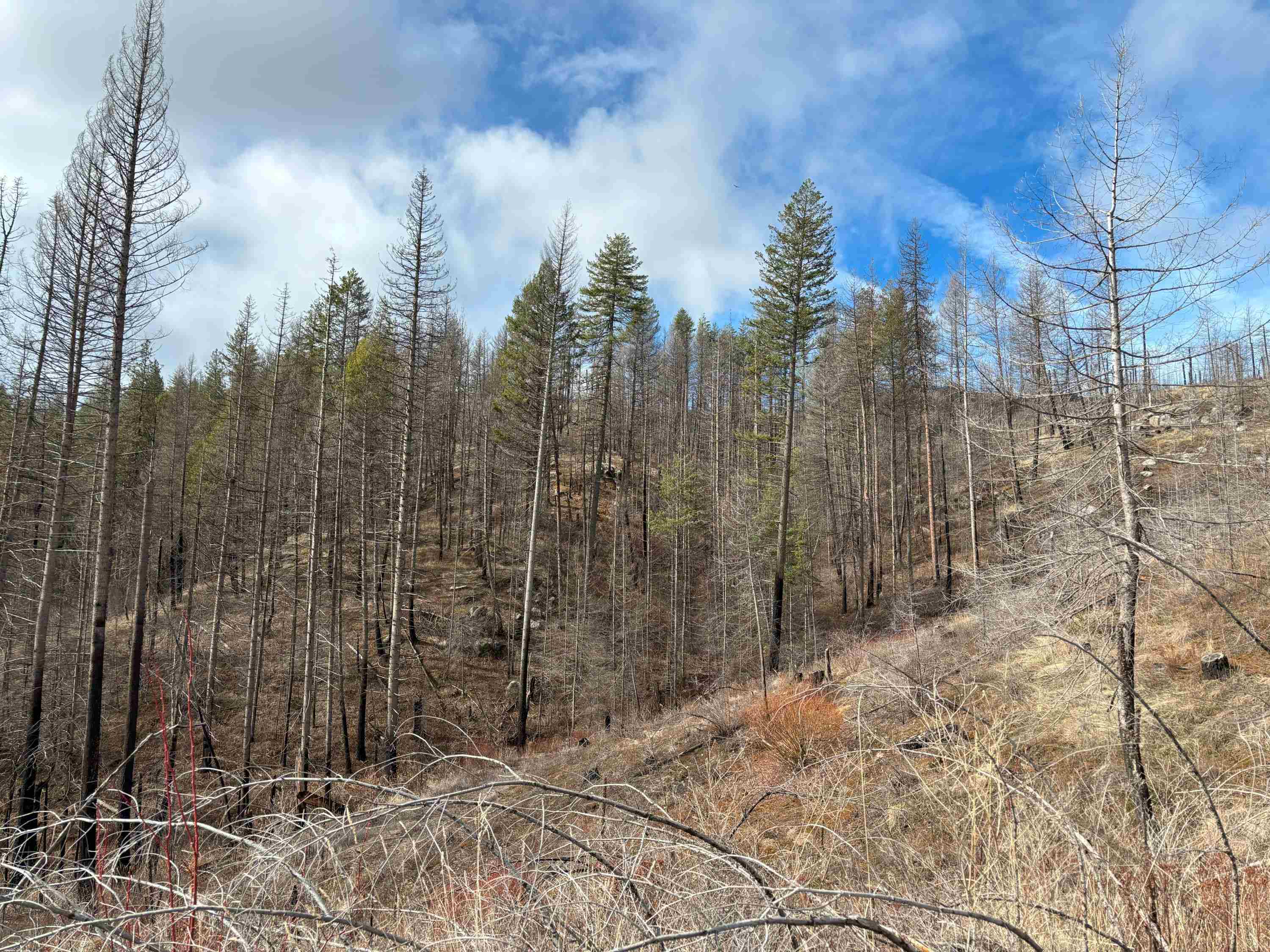 Lot 7 Rail Canyon Rd - Photo 16