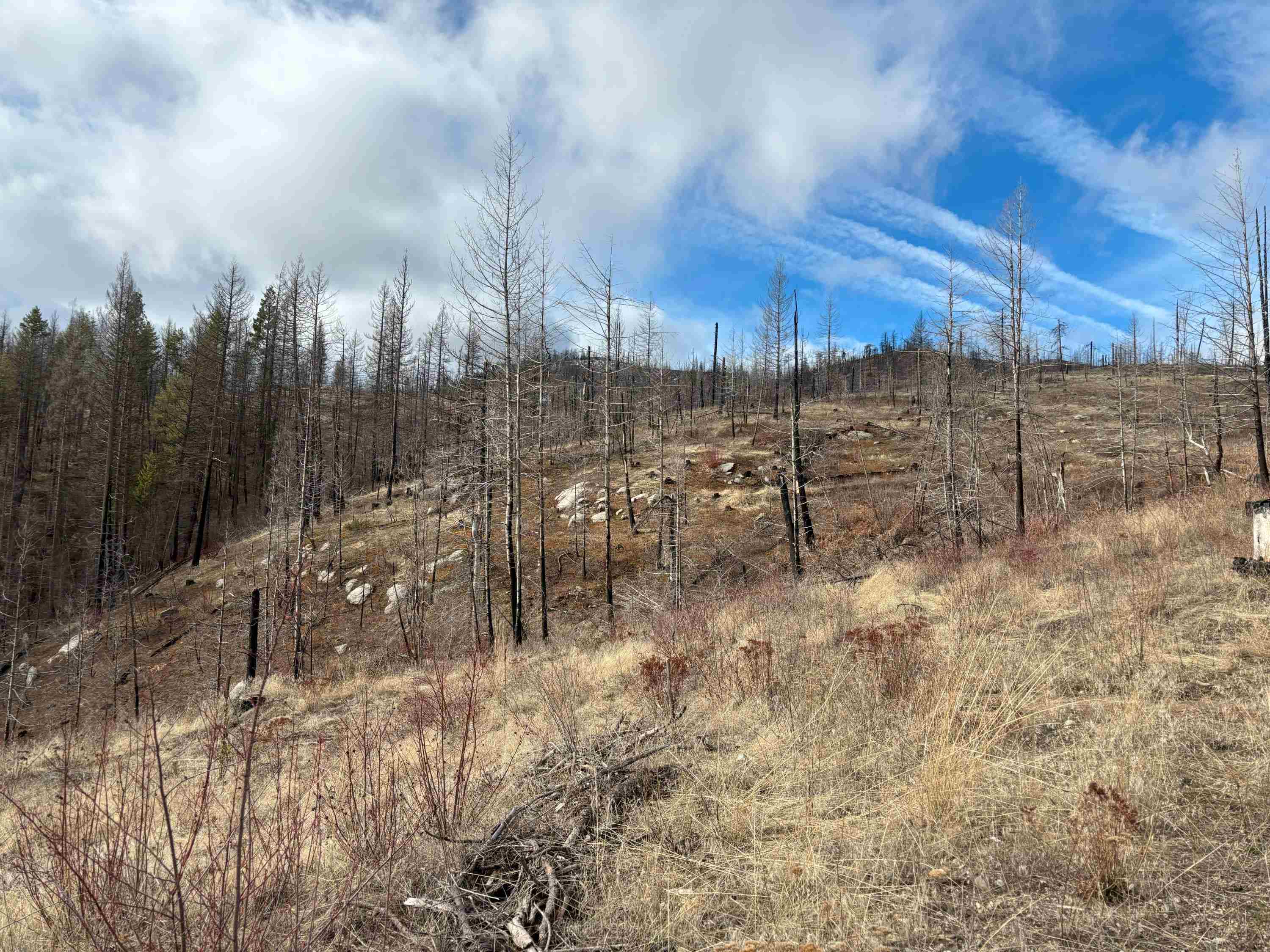 Lot 7 Rail Canyon Rd - Photo 17