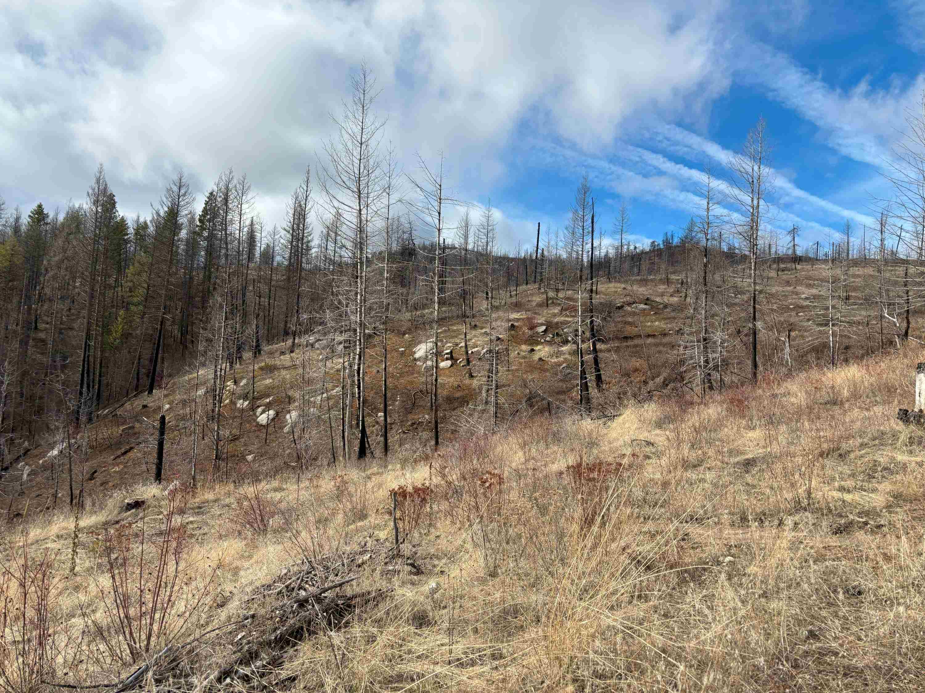 Lot 7 Rail Canyon Rd - Photo 18