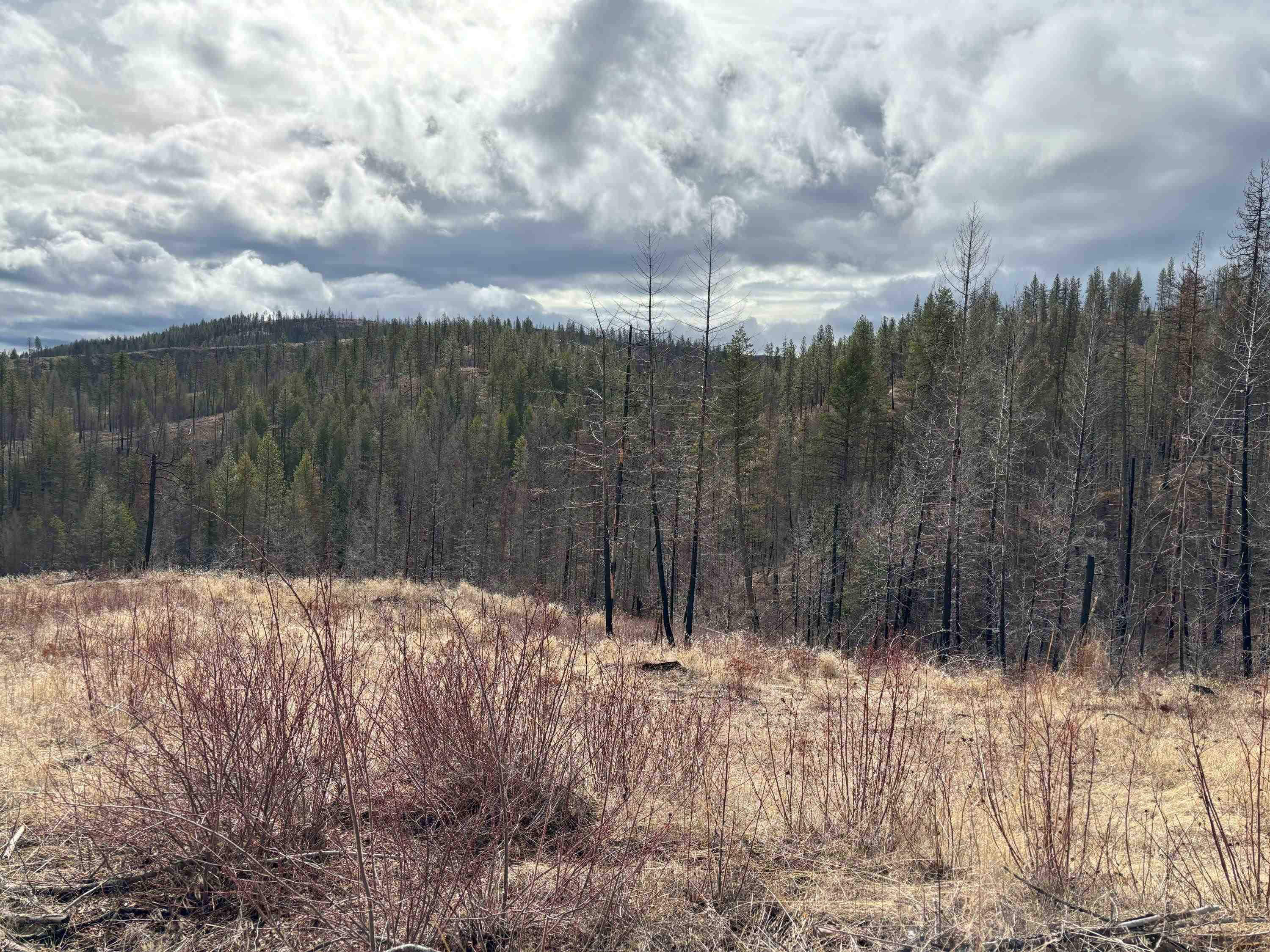 Lot 7 Rail Canyon Rd - Photo 19