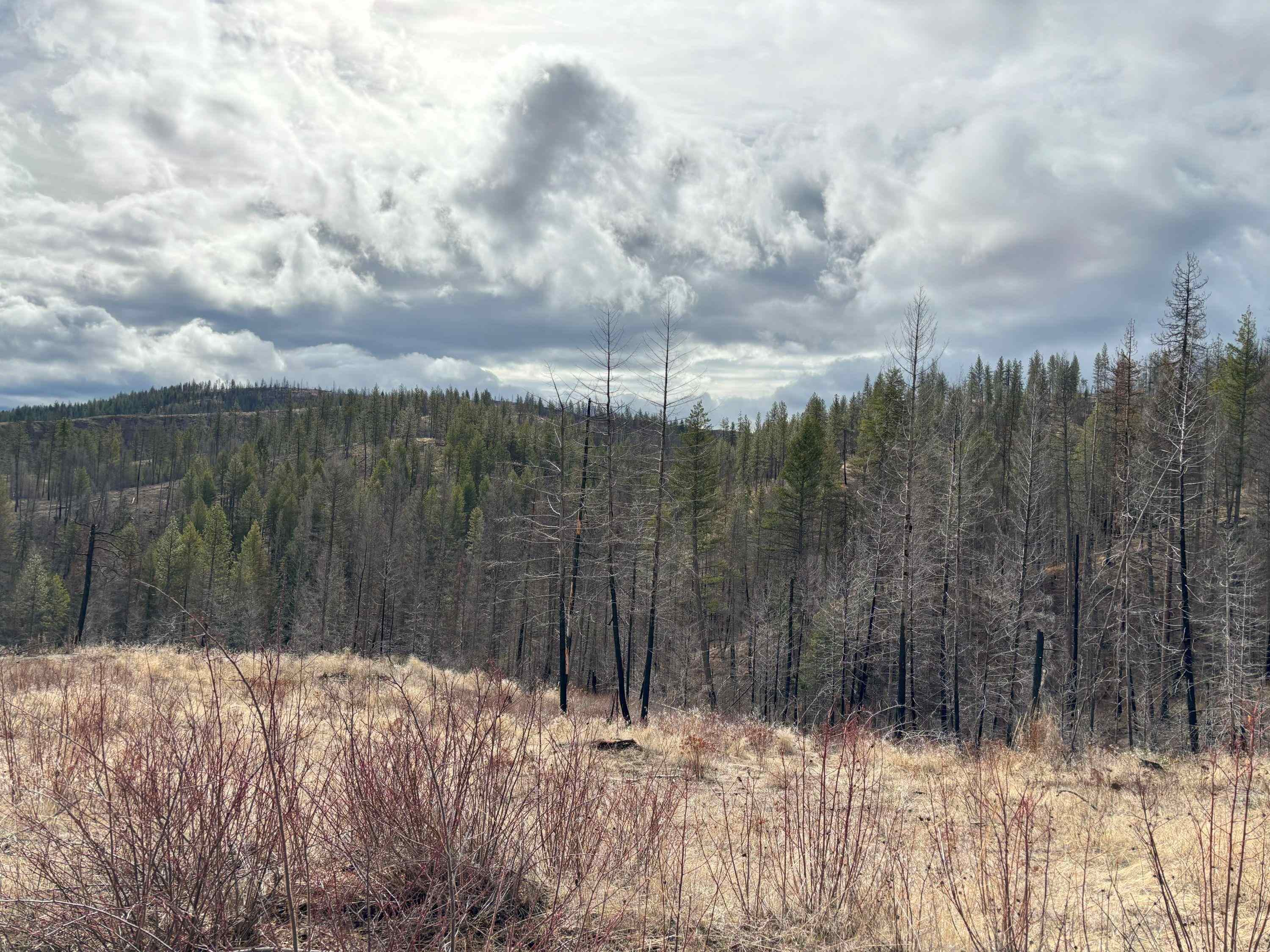 Lot 7 Rail Canyon Rd - Photo 20