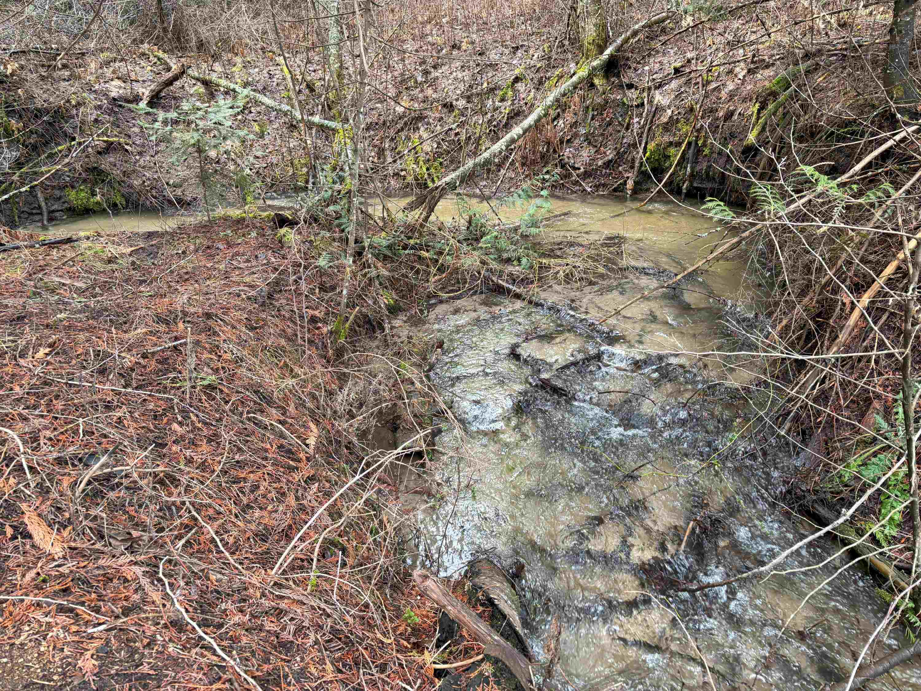 Lot 7 Rail Canyon Rd - Photo 3