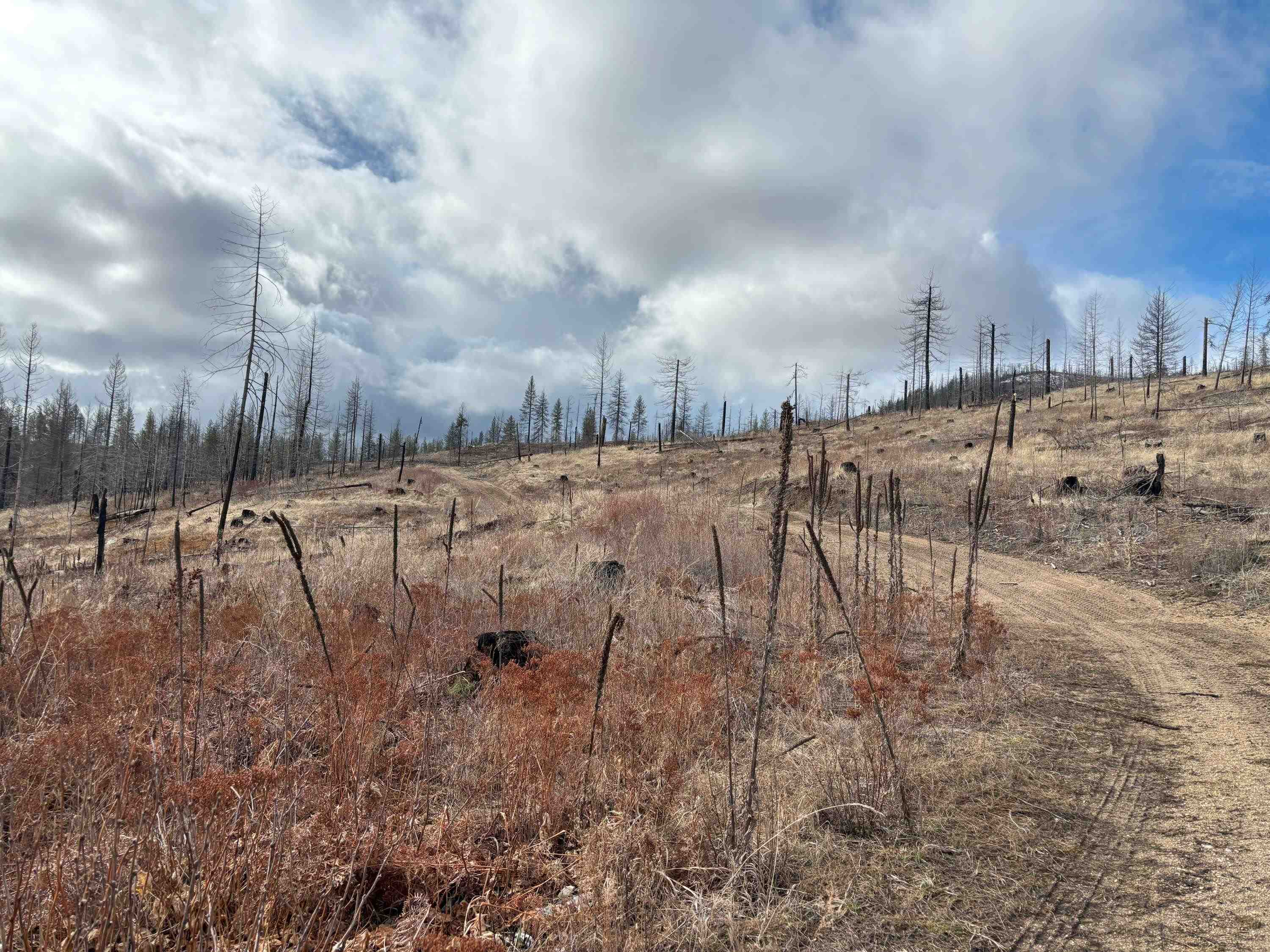 Lot 7 Rail Canyon Rd - Photo 21