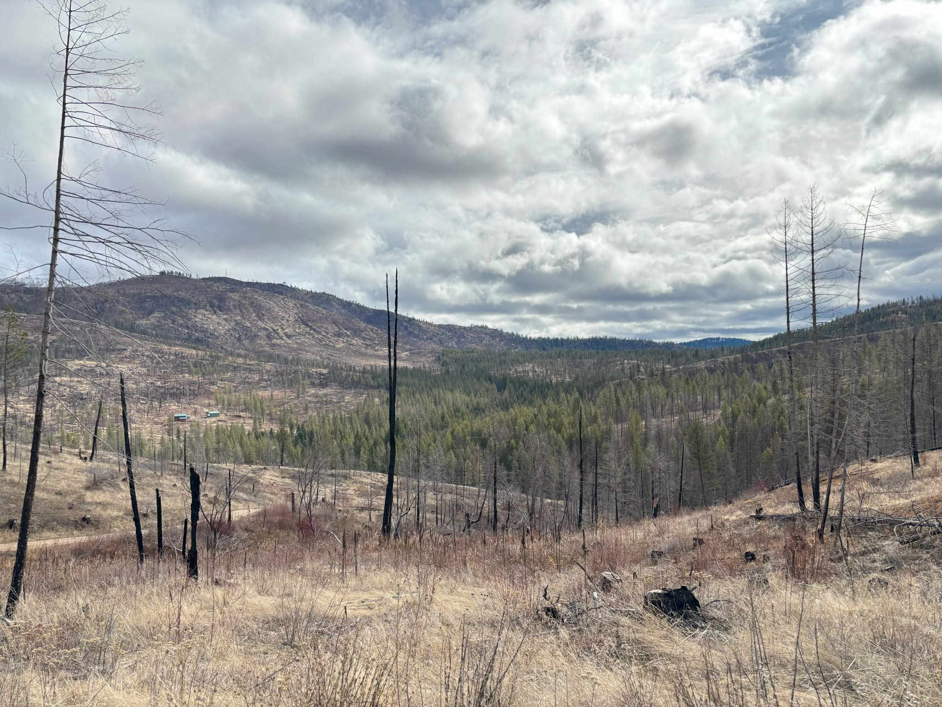 Lot 7 Rail Canyon Rd - Photo 22