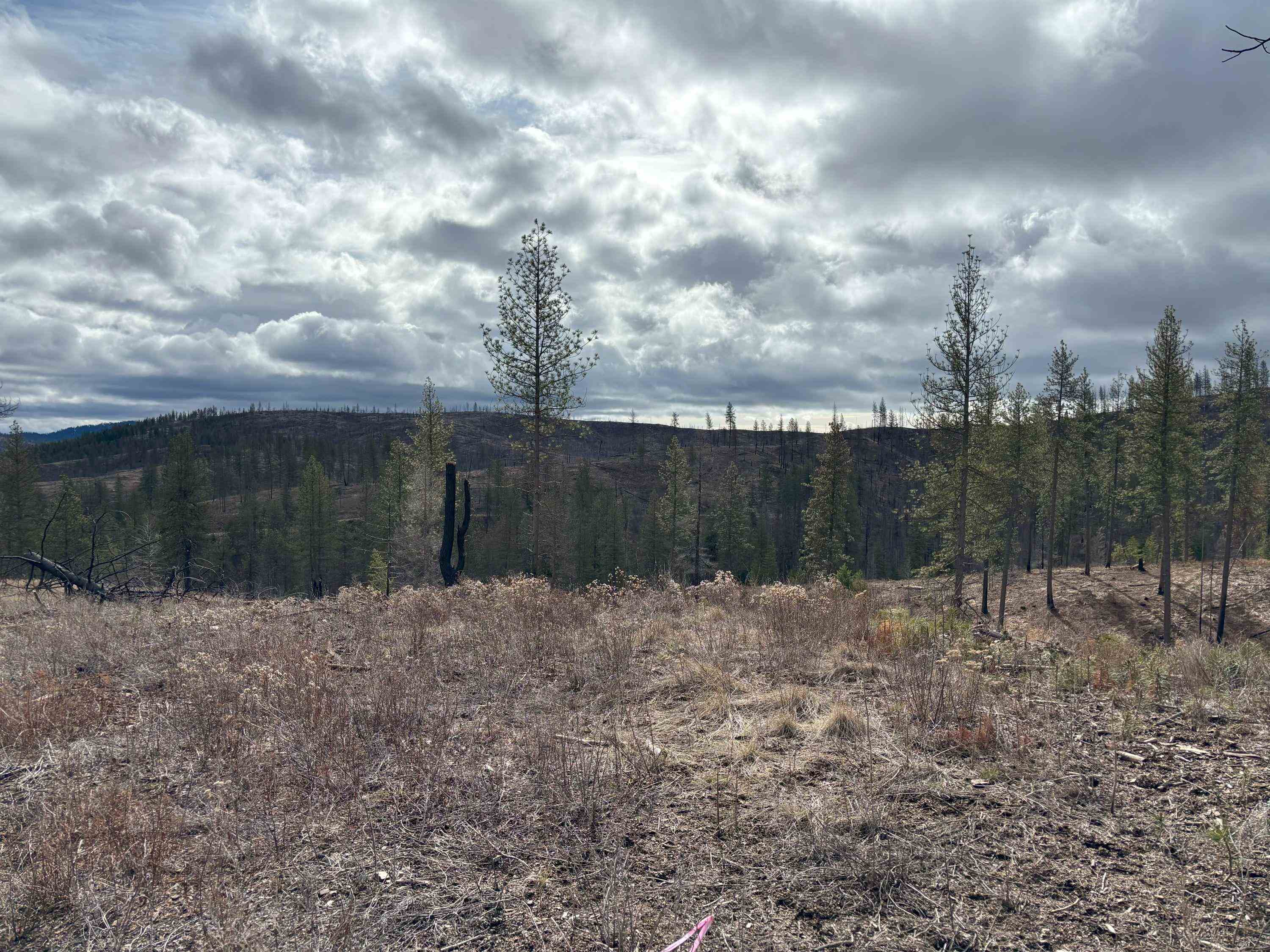 Lot 7 Rail Canyon Rd - Photo 23