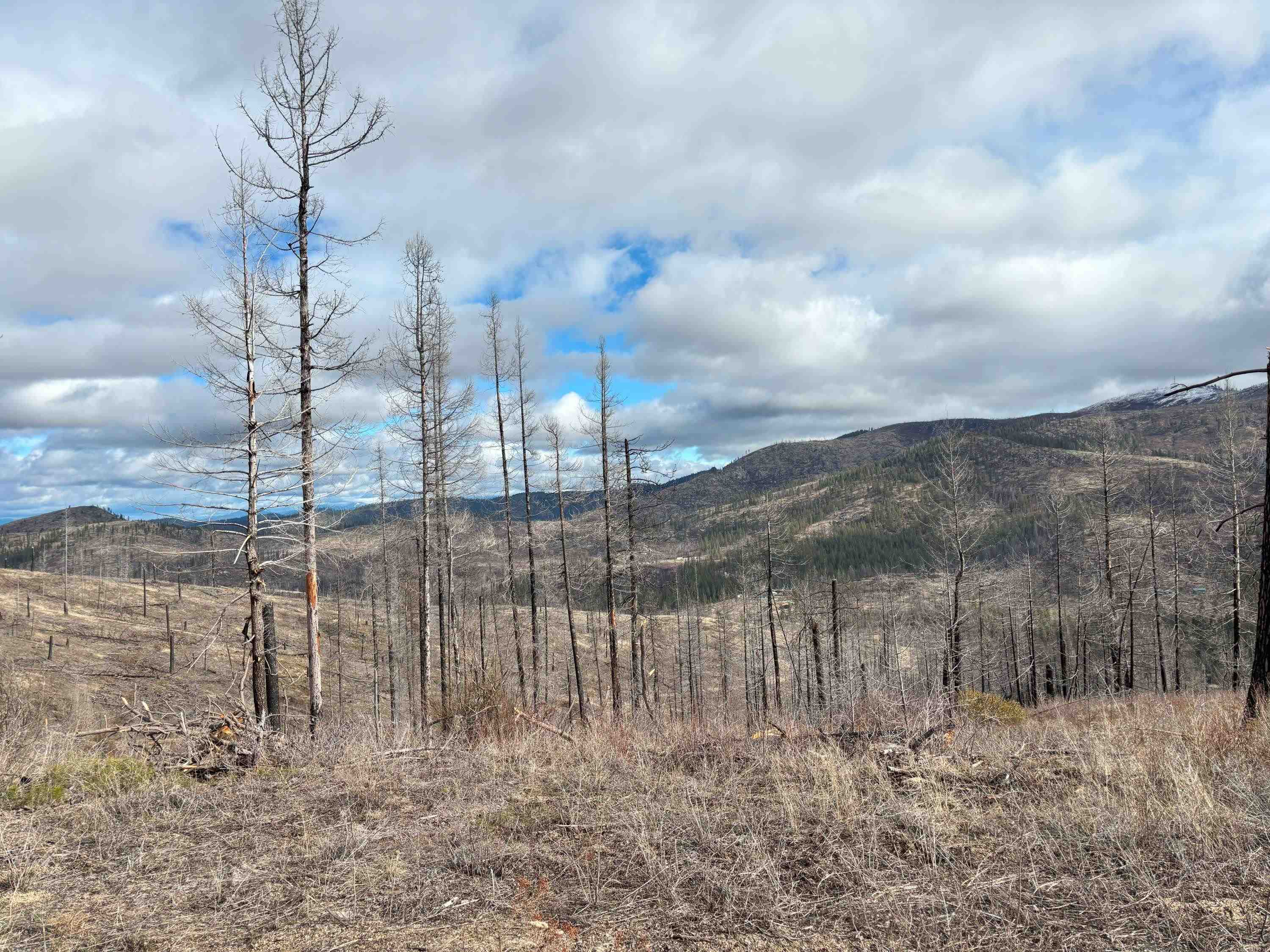 Lot 7 Rail Canyon Rd - Photo 24