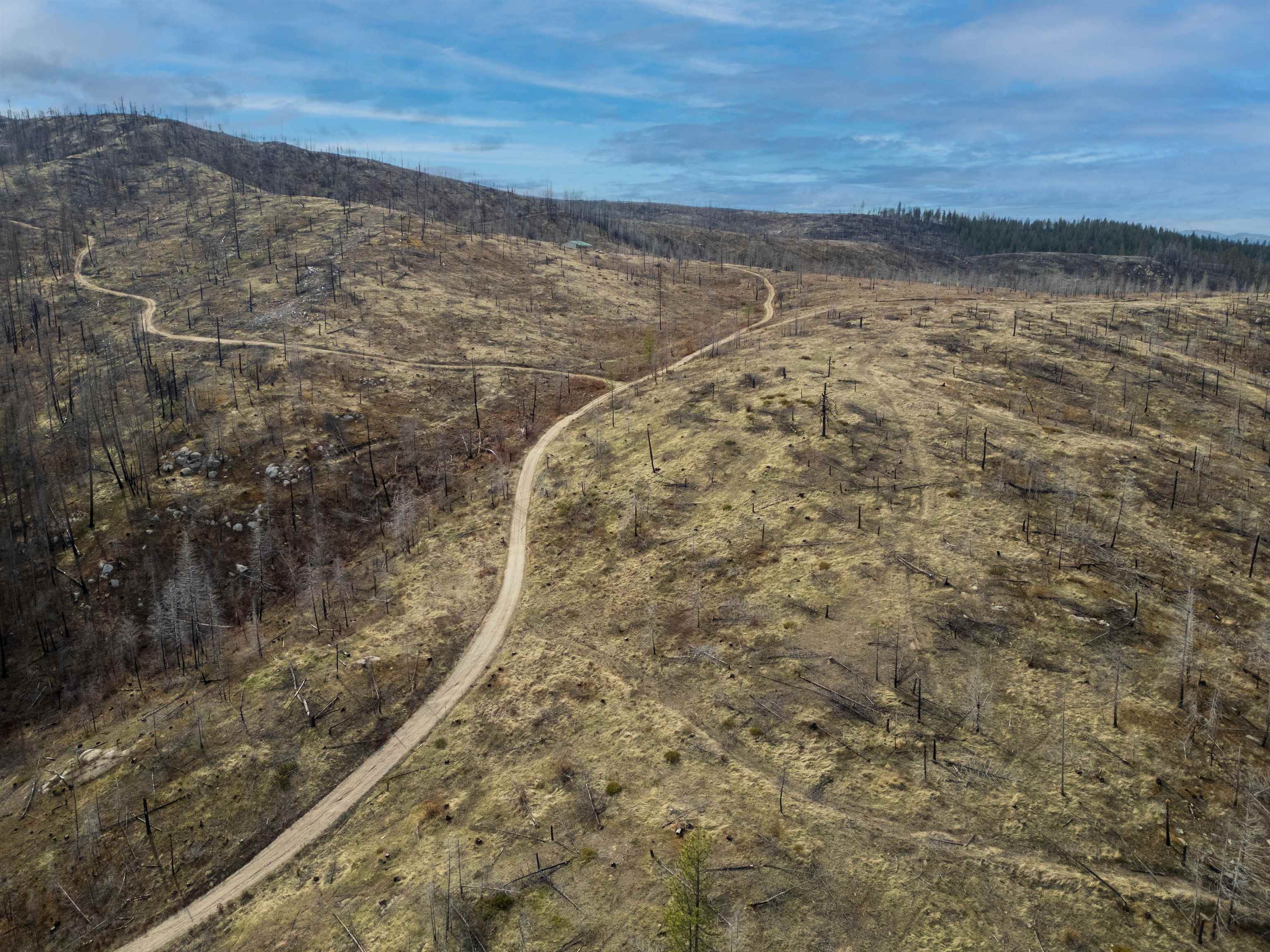Lot 7 Rail Canyon Rd - Photo 4