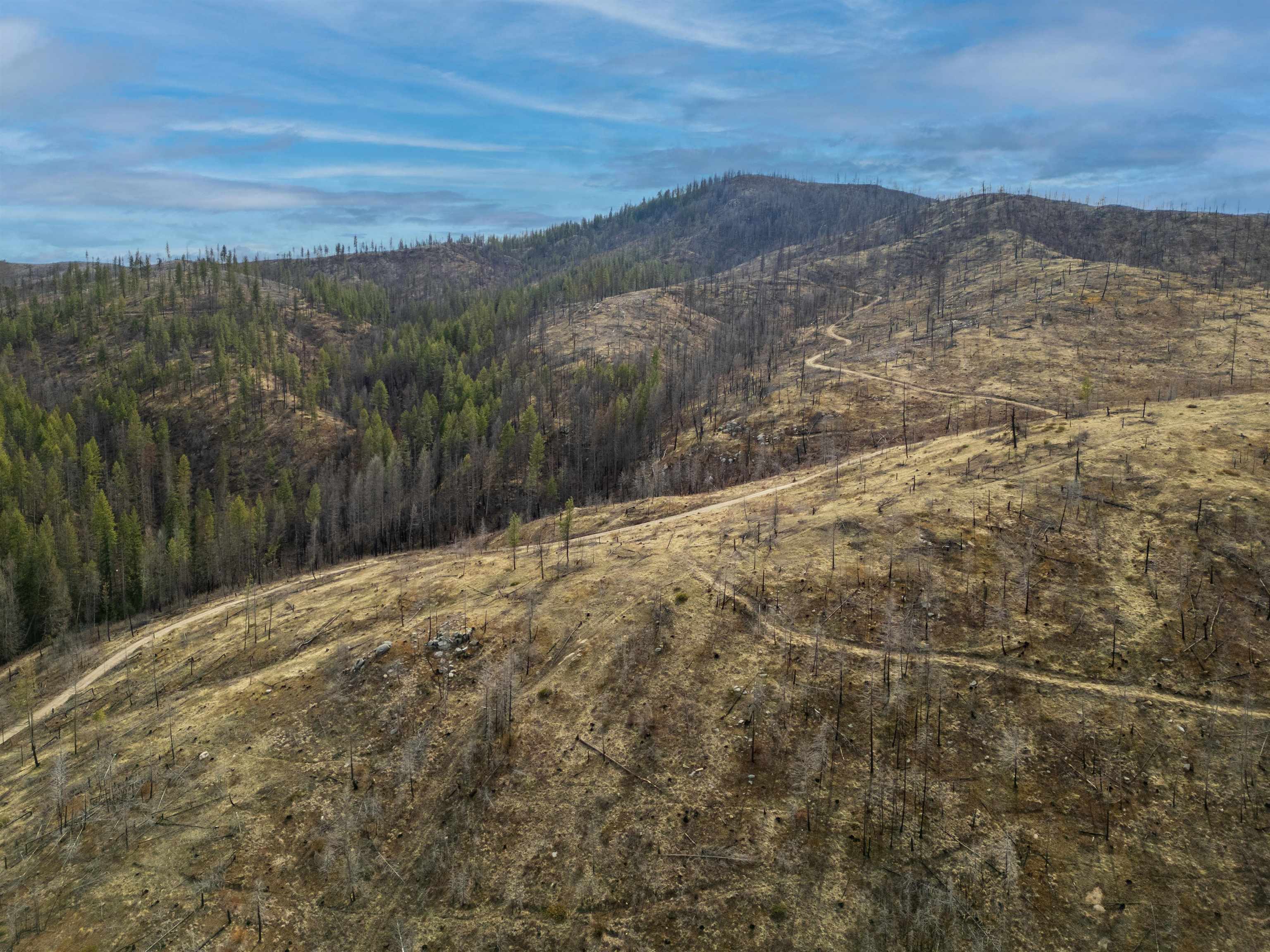 Lot 7 Rail Canyon Rd - Photo 5